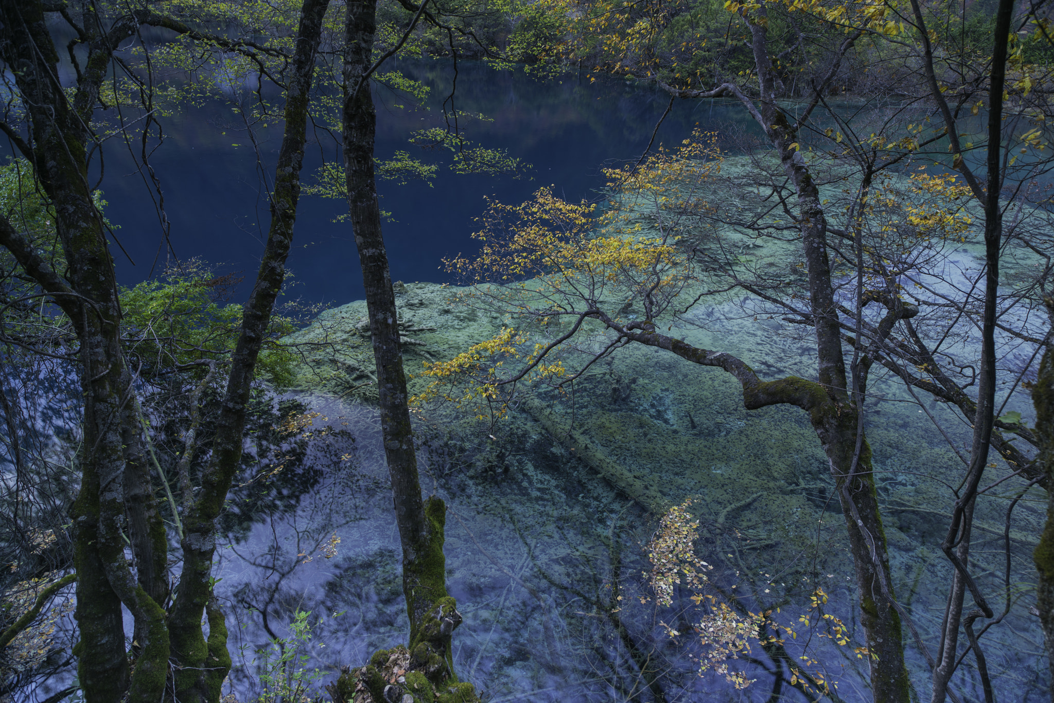 Nikon D810 sample photo. 九塞沟 photography