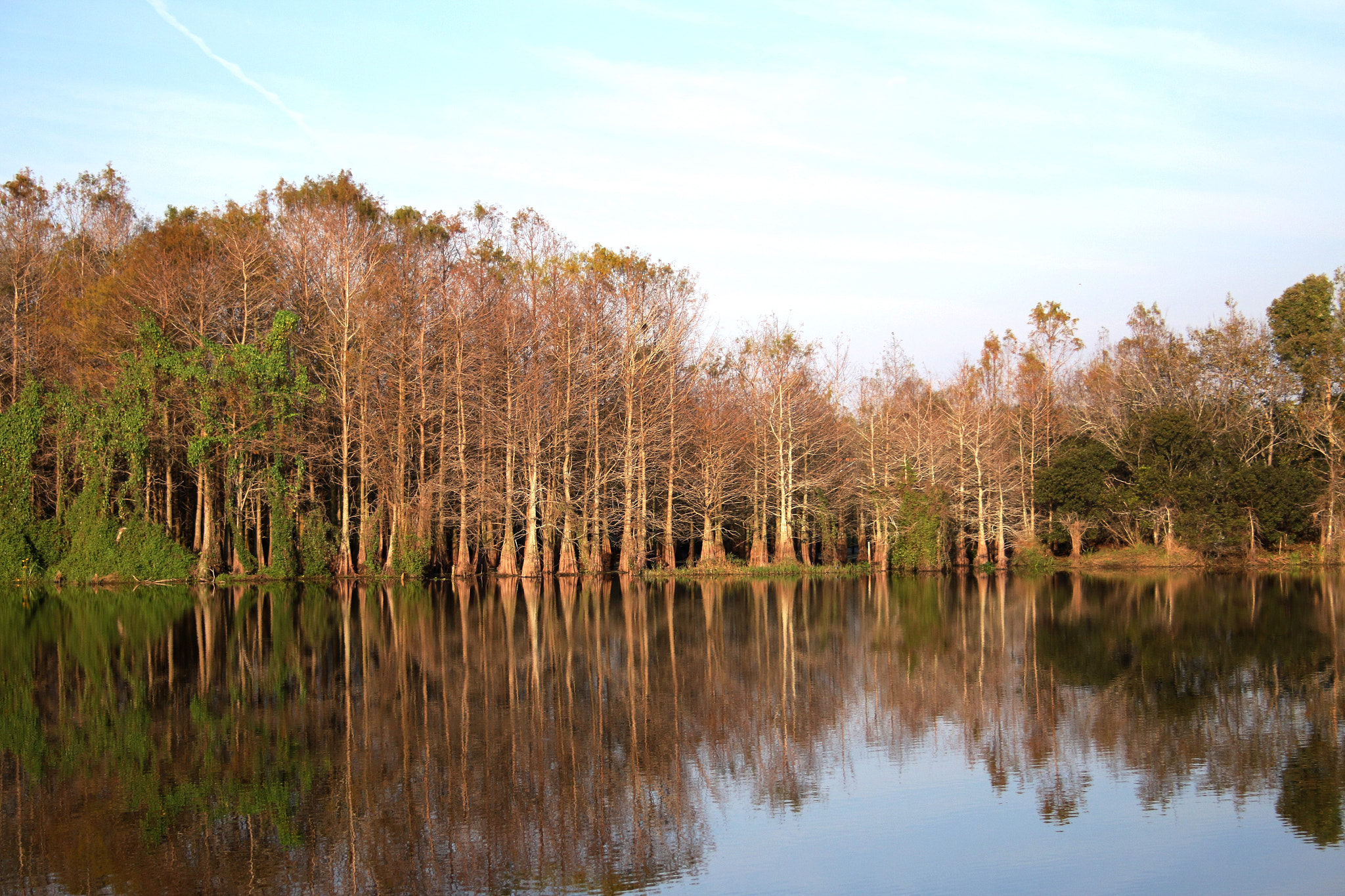Canon EF-S 18-55mm F3.5-5.6 II sample photo. Six mile cypress slough1 photography