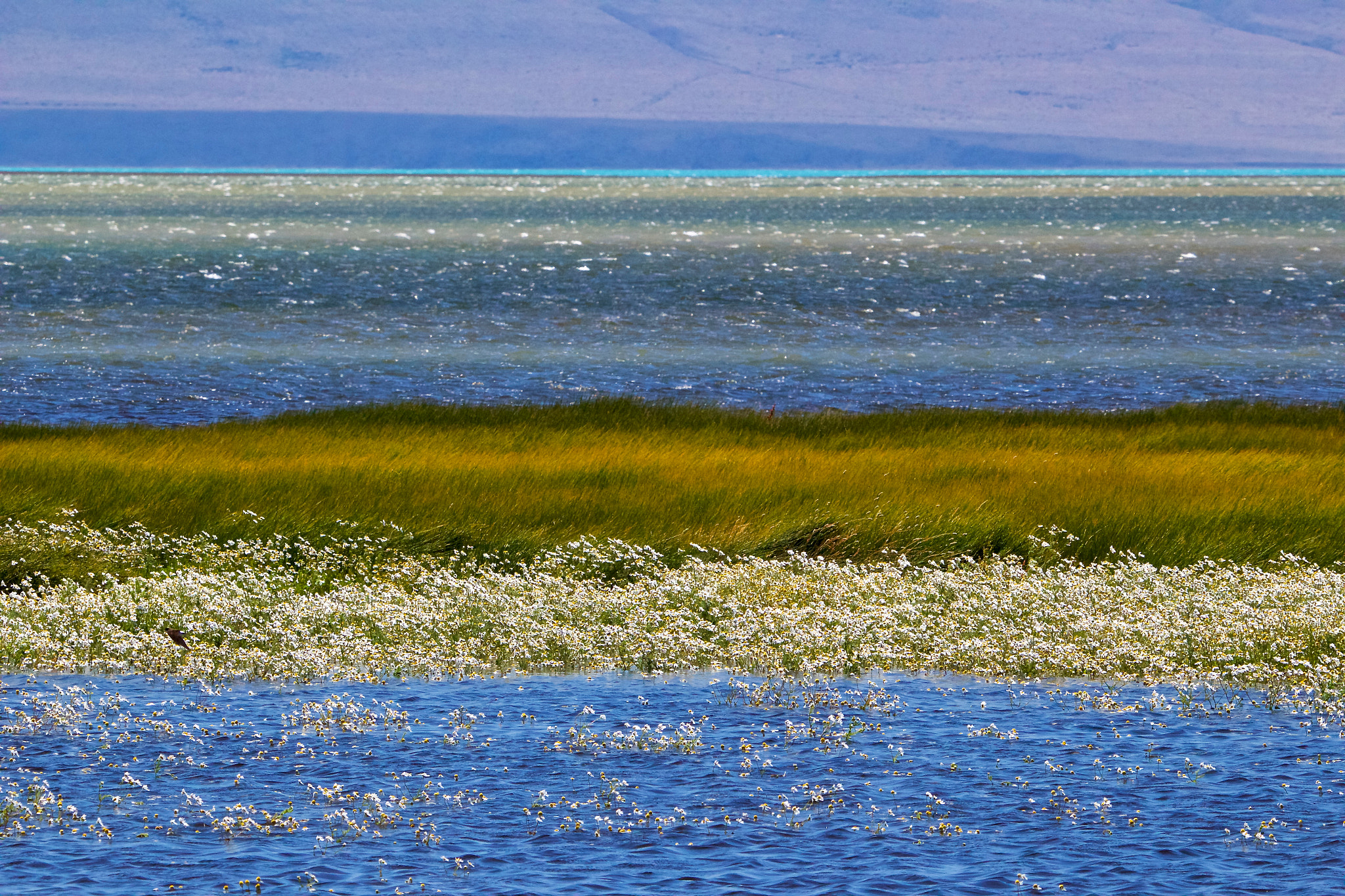 Tamron SP 150-600mm F5-6.3 Di VC USD sample photo. Lago argentino photography