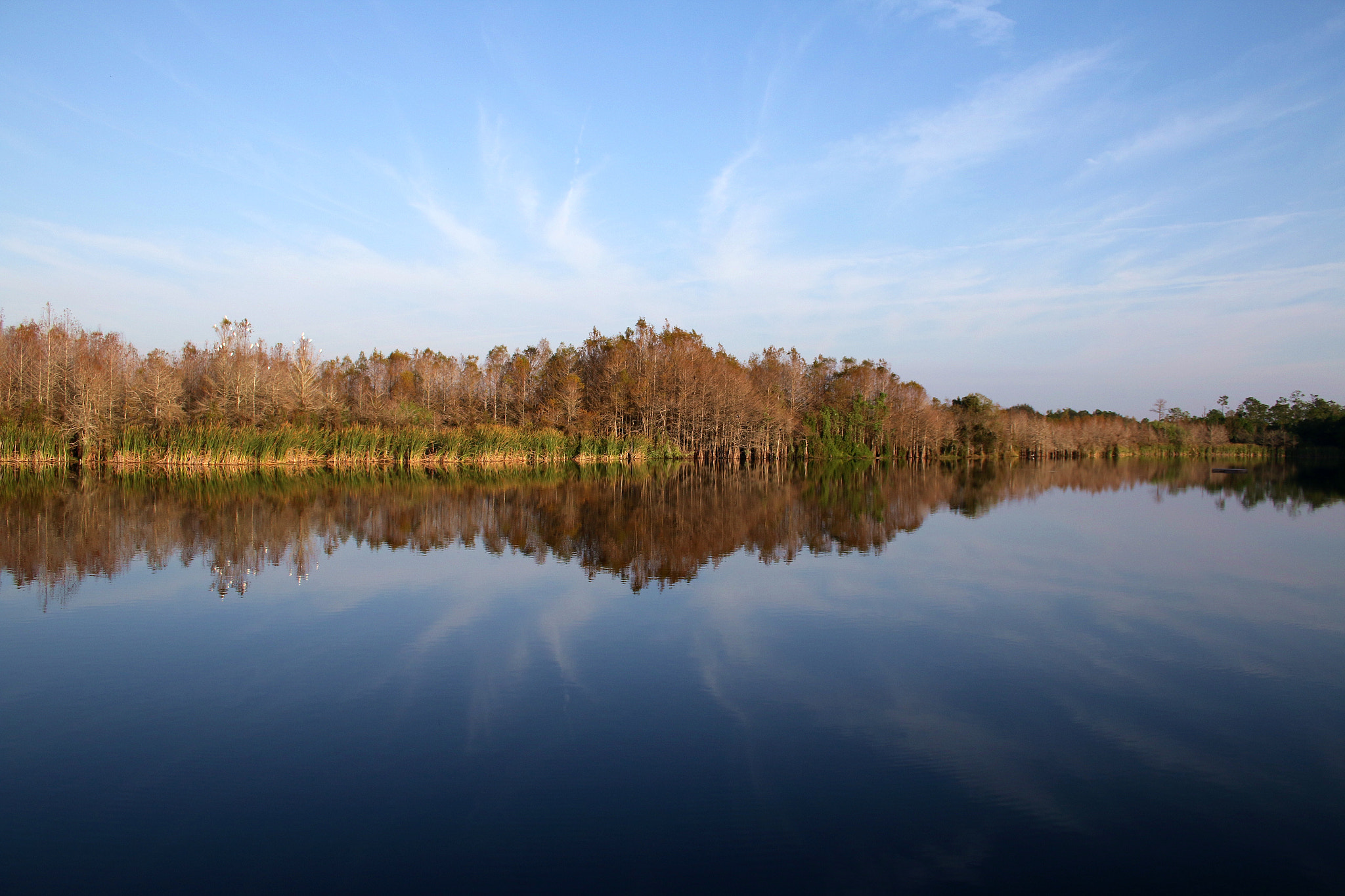 Canon EF-S 18-55mm F3.5-5.6 II sample photo. Six mile cypress slough 2 photography