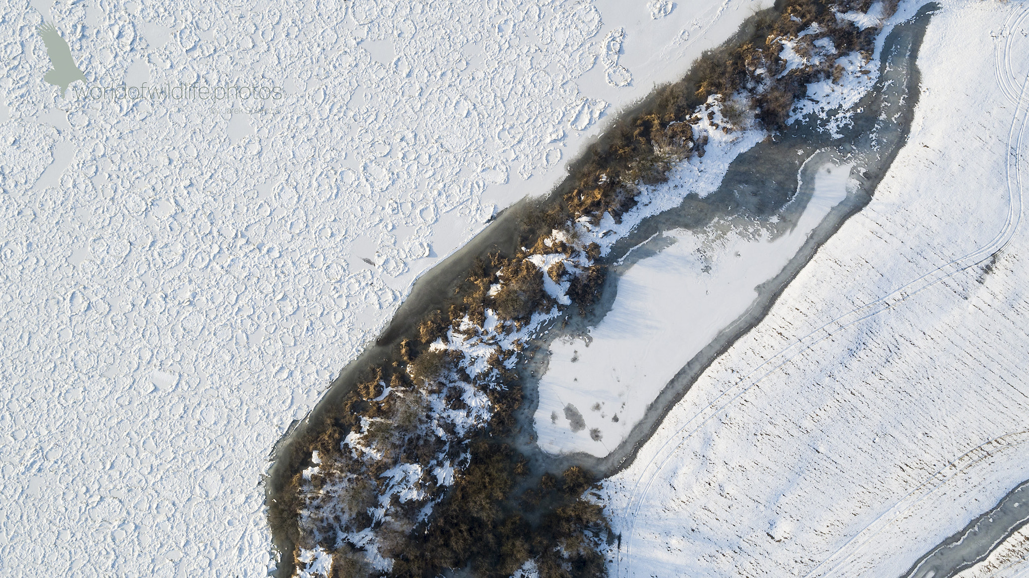 DJI FC550 sample photo. Winter around as photography