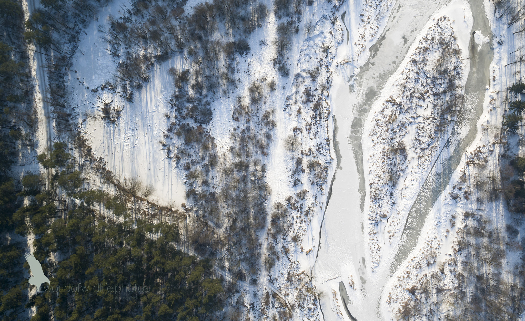 DJI FC550 sample photo. Winter around as photography