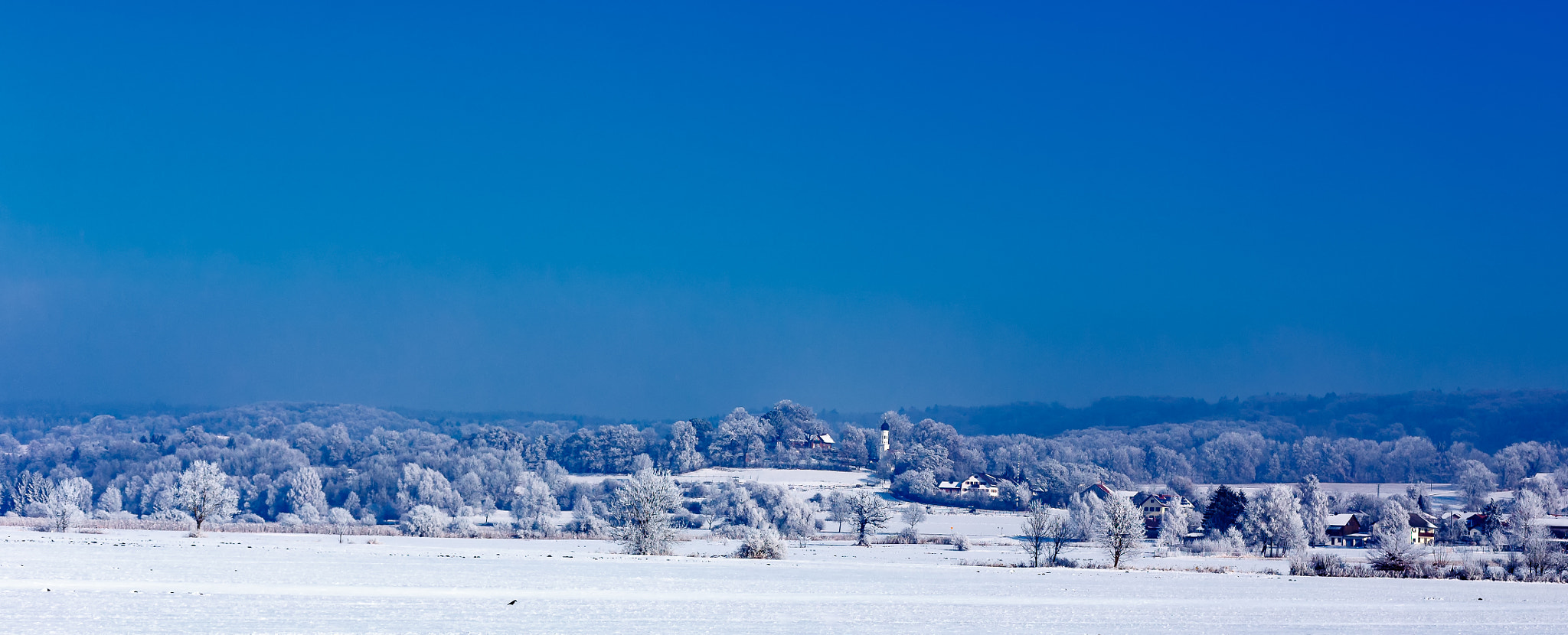 Canon EOS 6D + Canon EF 50mm F2.5 Macro sample photo. Winterwonderland photography