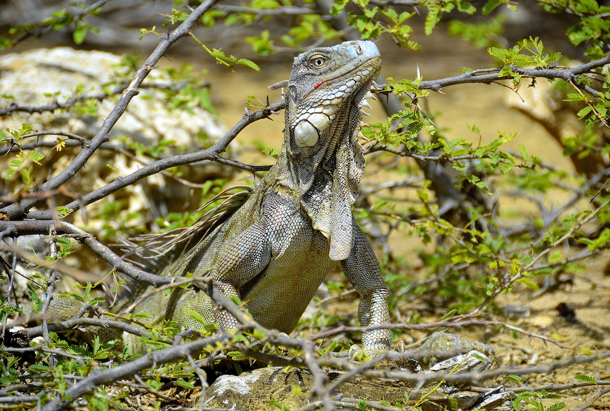 louis caron (louis_caron) Photos / 500px