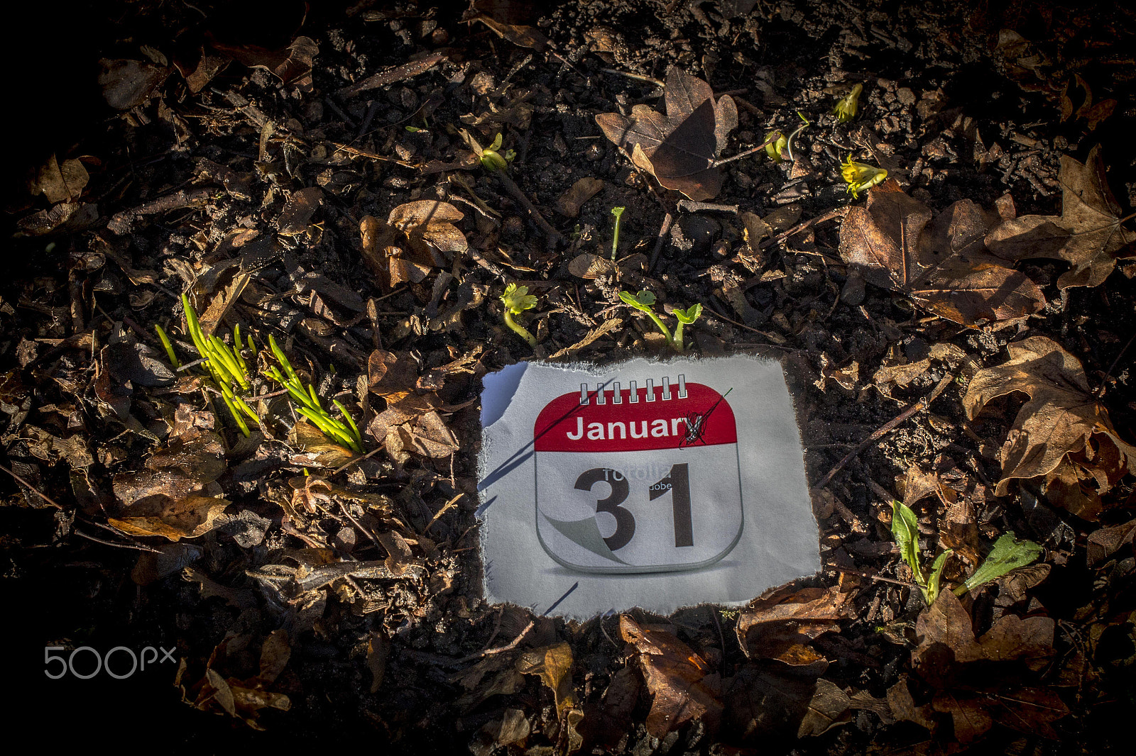 Canon EF 35mm F2 IS USM sample photo. End of january photography