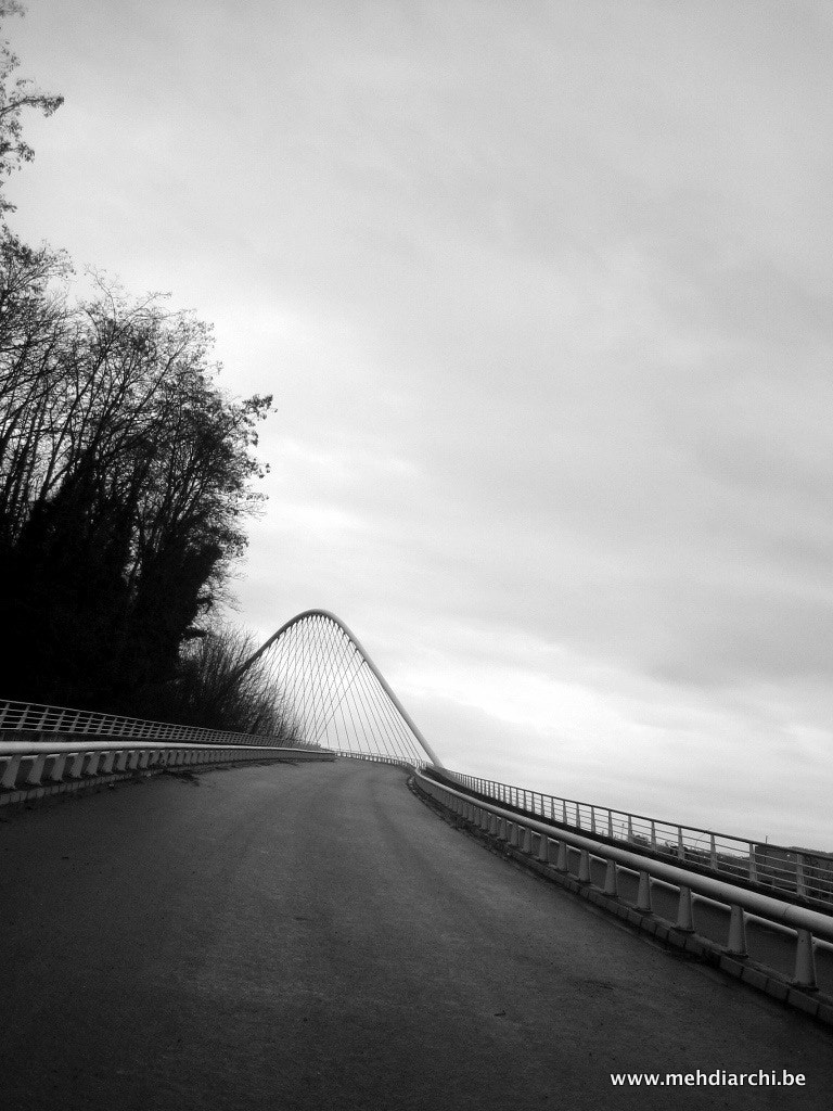 Canon DIGITAL IXUS 40 sample photo. Way photography