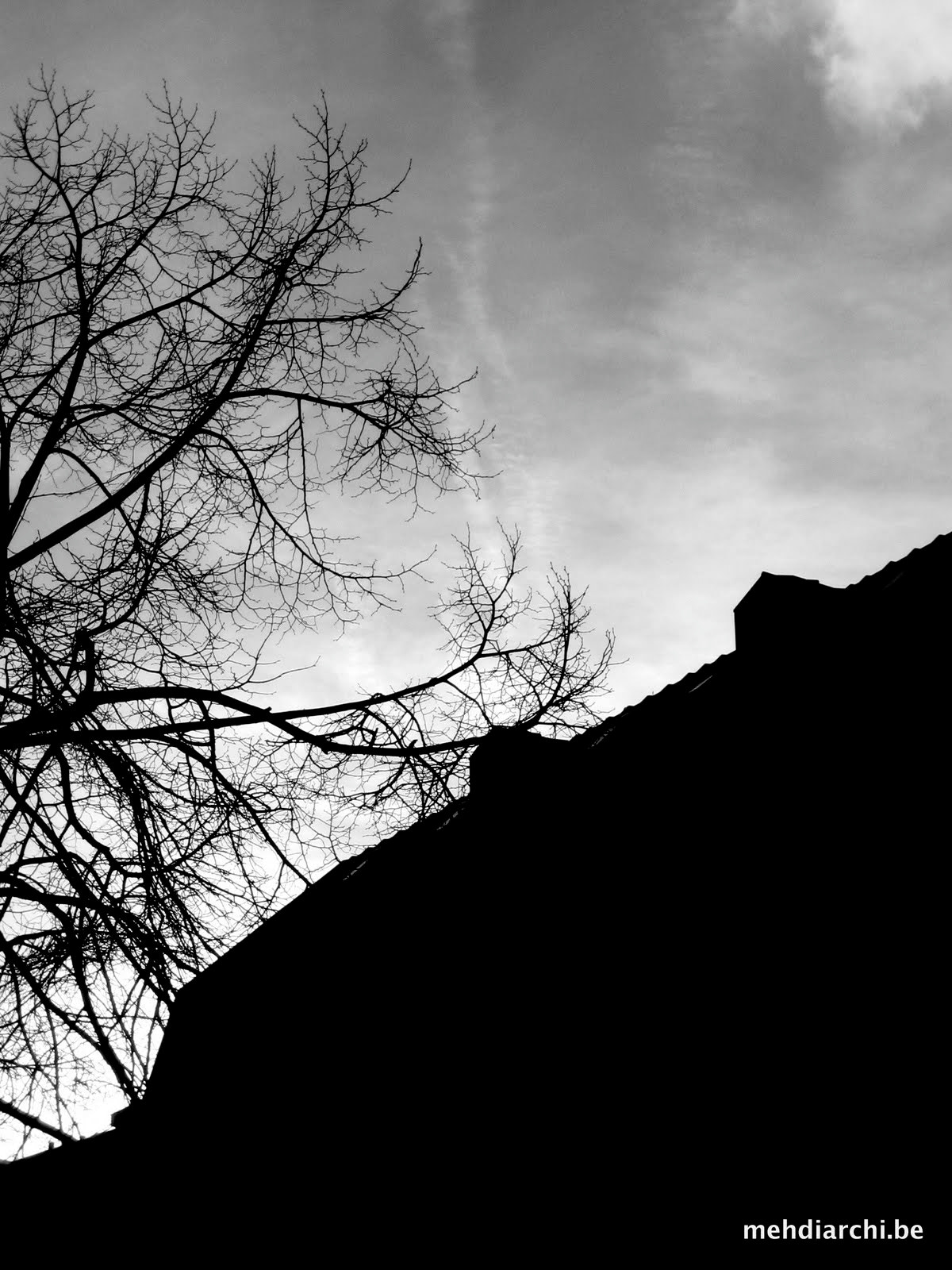 Canon DIGITAL IXUS 40 sample photo. Black and lignt photography