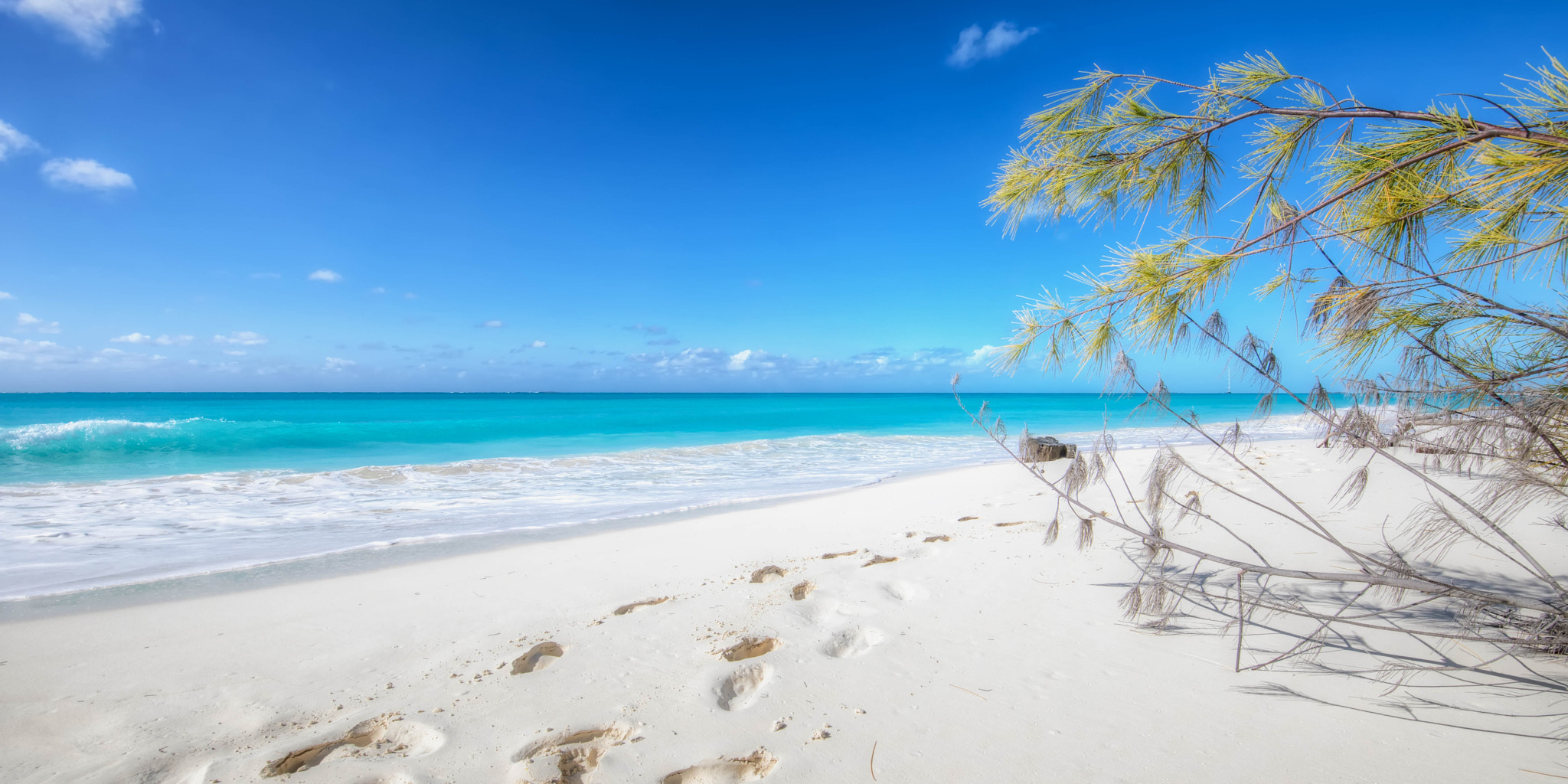 Canon EF 300mm f/2.8L sample photo. Footprintsinthesand photography