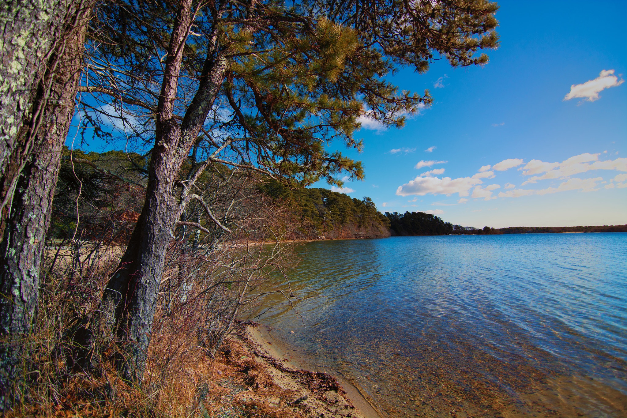 Tokina AT-X Pro 11-16mm F2.8 DX sample photo. Bright winter's day.  long pond, brewster, ma cape cod.  the largest 'kettle pond' photography