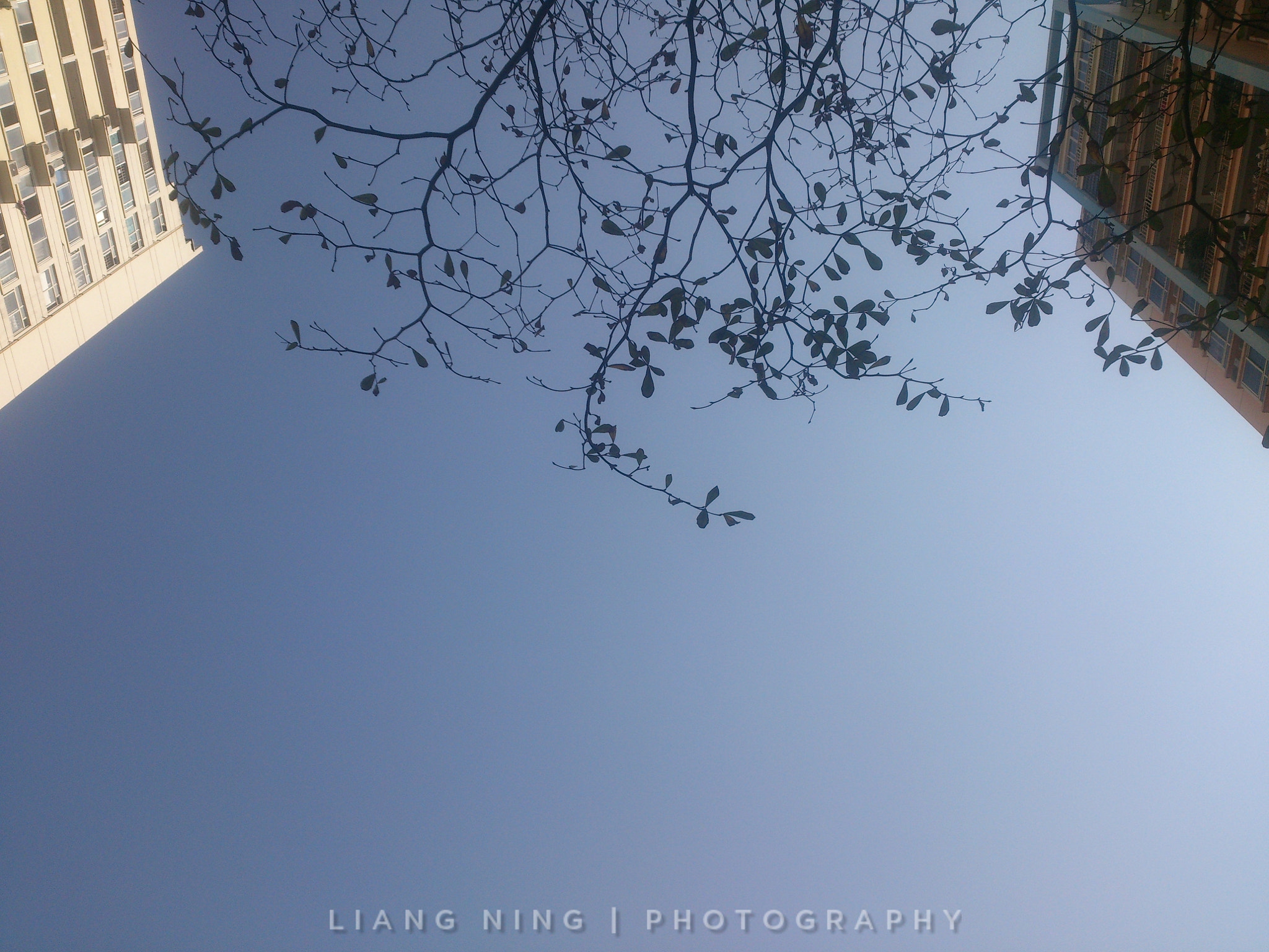 Sony Xperia T sample photo