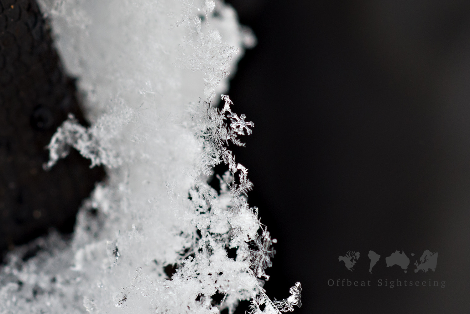 Nikon AF Micro-Nikkor 60mm F2.8D sample photo. Snowflakes photography