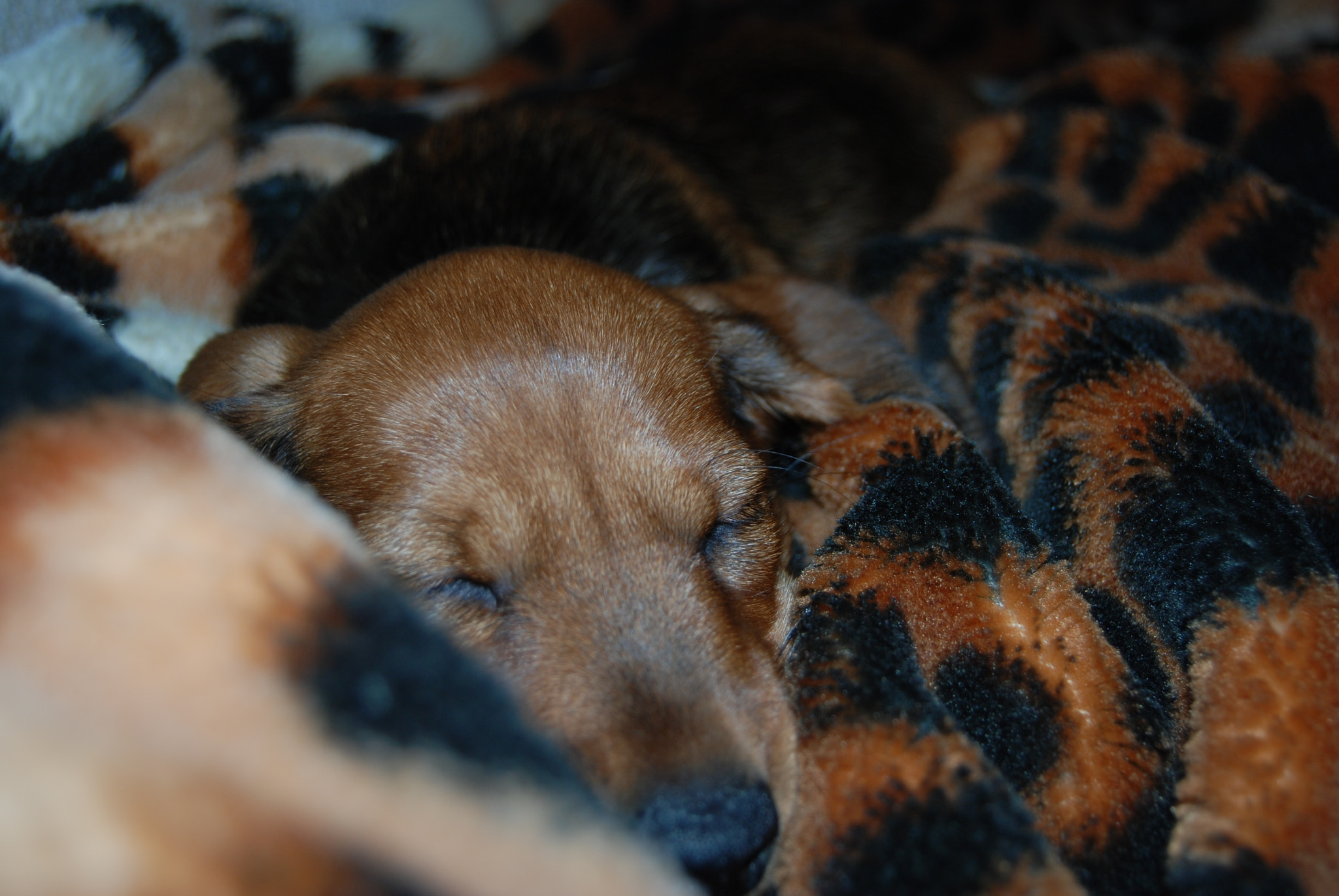 Nikon D80 sample photo