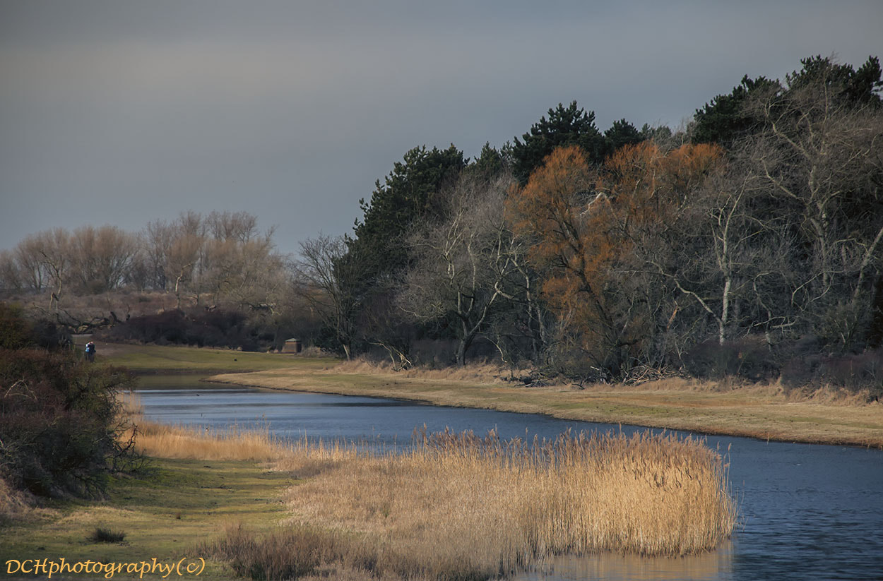 Sigma 18-200mm f/3.5-6.3 DC OS sample photo. A touch of orange photography