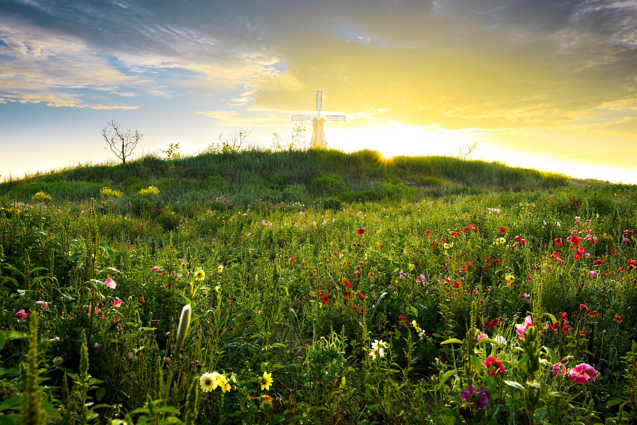 Tamron SP 15-30mm F2.8 Di VC USD sample photo. Windmill photography