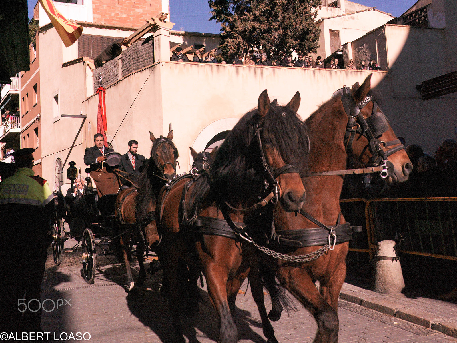 Hasselblad CF-39 sample photo. Festa sant antoni photography