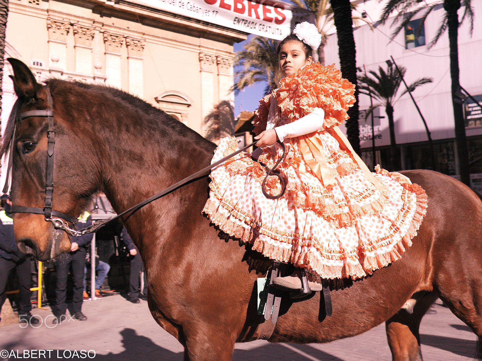 Hasselblad CF-39 sample photo. Festa sant antoni photography