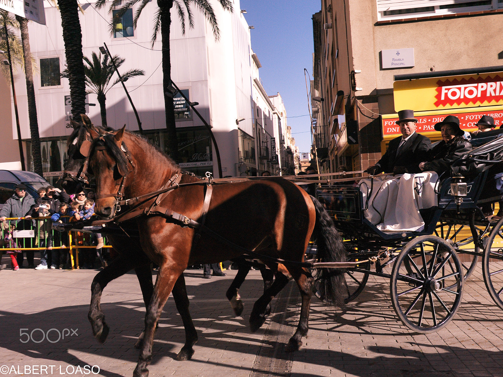 Hasselblad CF-39 sample photo. Festa sant antoni photography