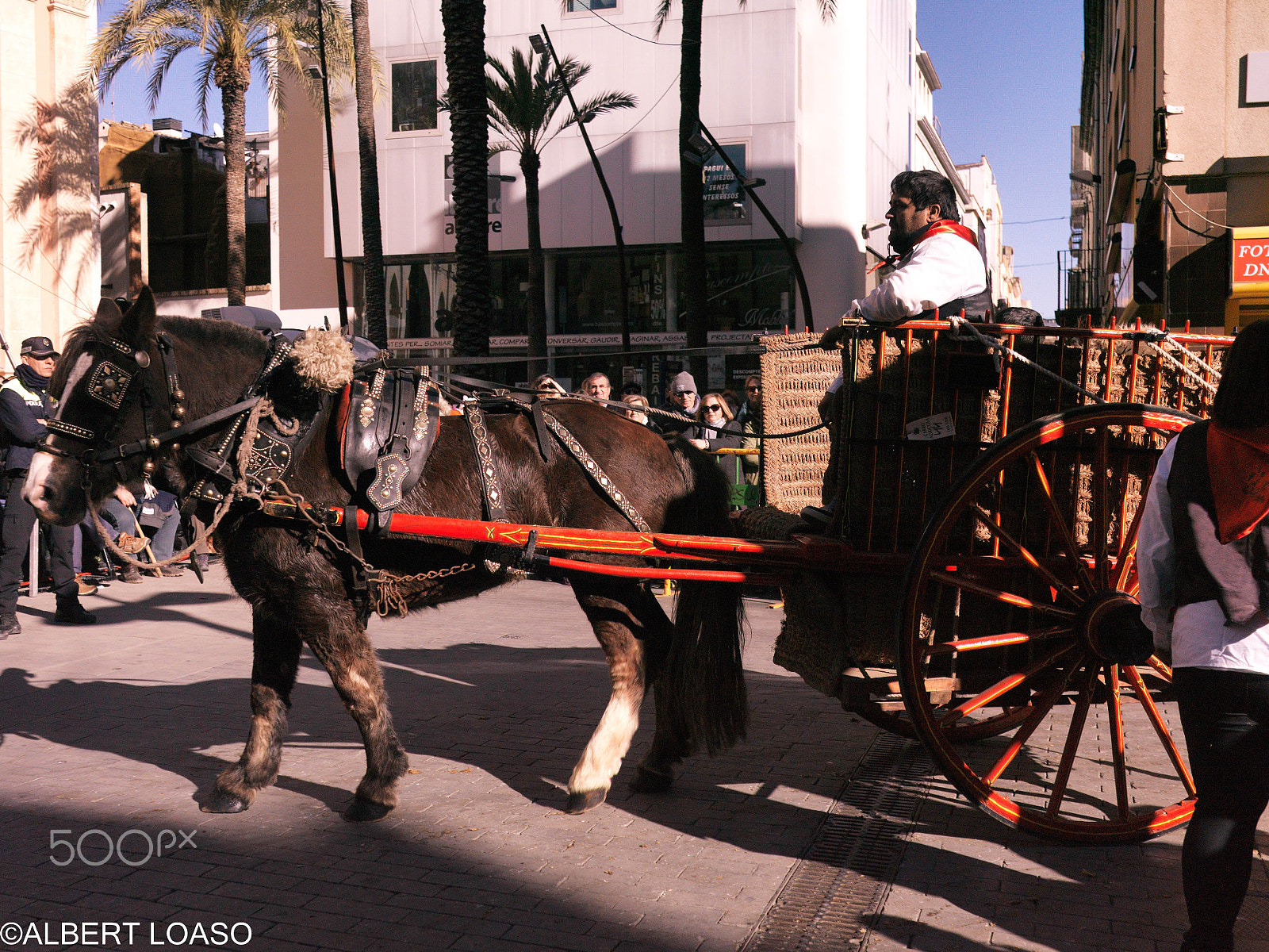 Hasselblad CF-39 sample photo. Festa sant antoni photography