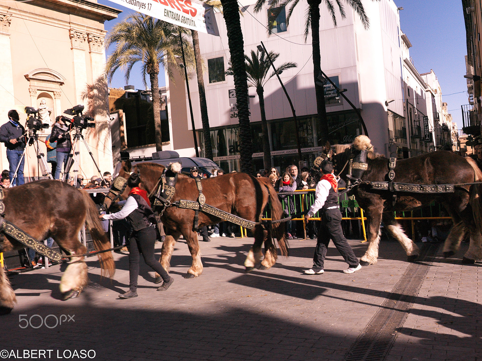 Hasselblad CF-39 sample photo. Festa sant antoni photography