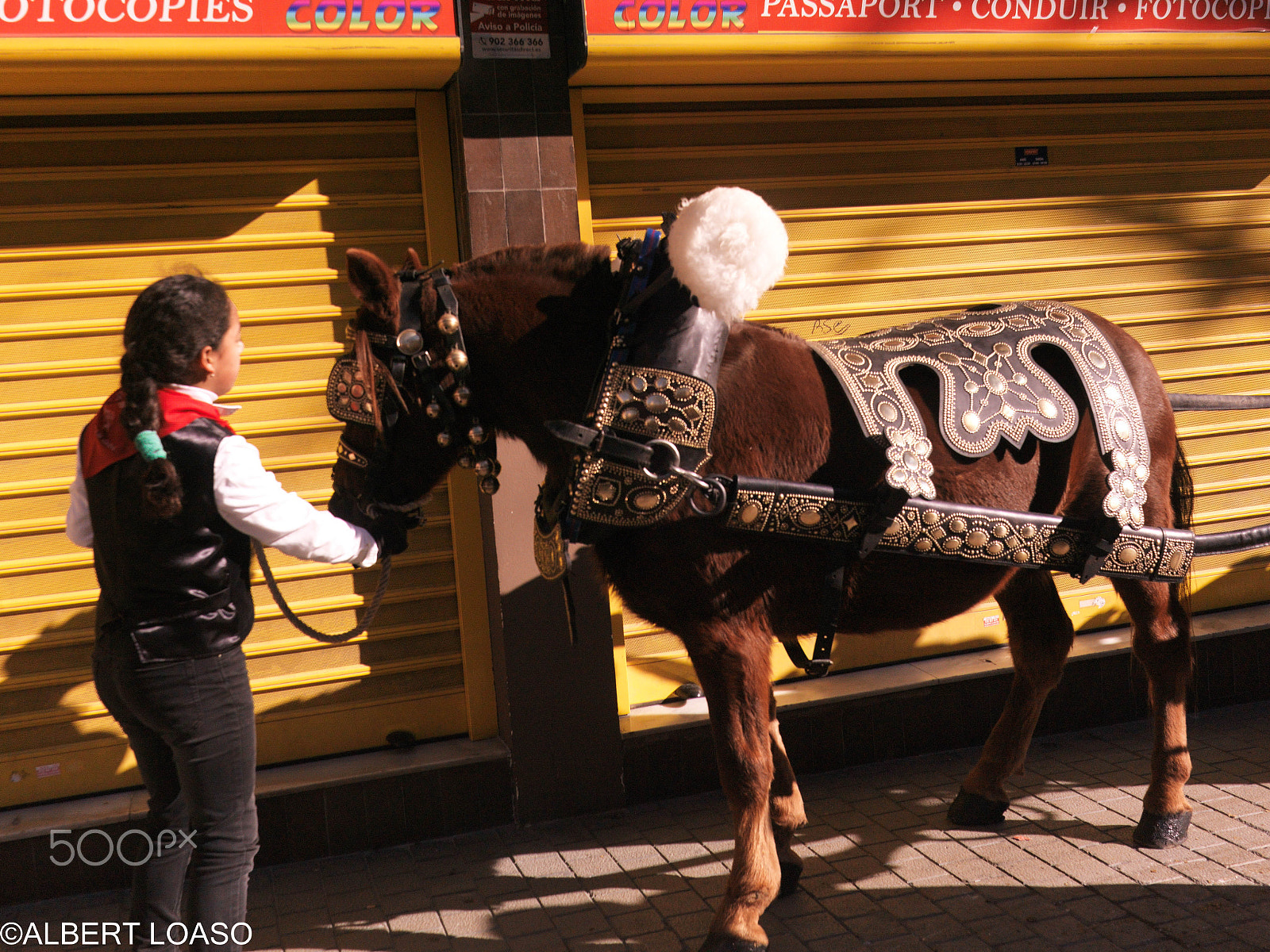 Hasselblad CF-39 sample photo. Festa sant antoni photography