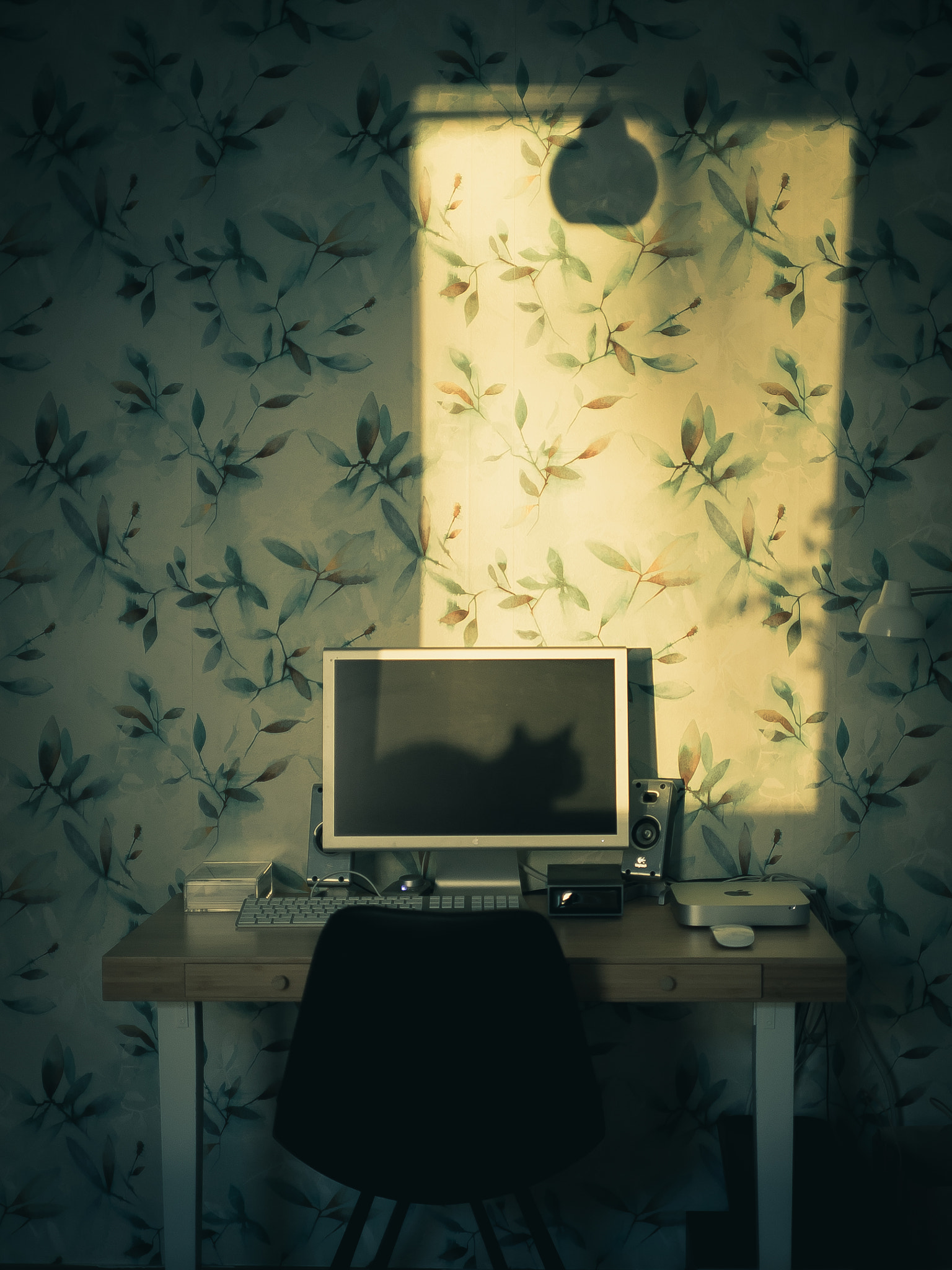 E 35mm F2 sample photo. Screensaver photography