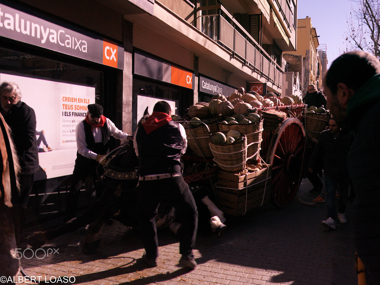 Hasselblad CF-39 sample photo. Festa sant antoni photography