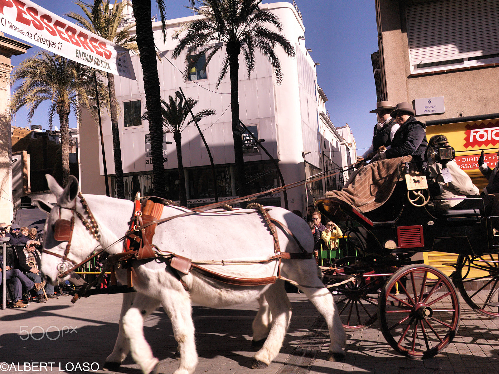 Hasselblad CF-39 sample photo. Festa sant antoni photography