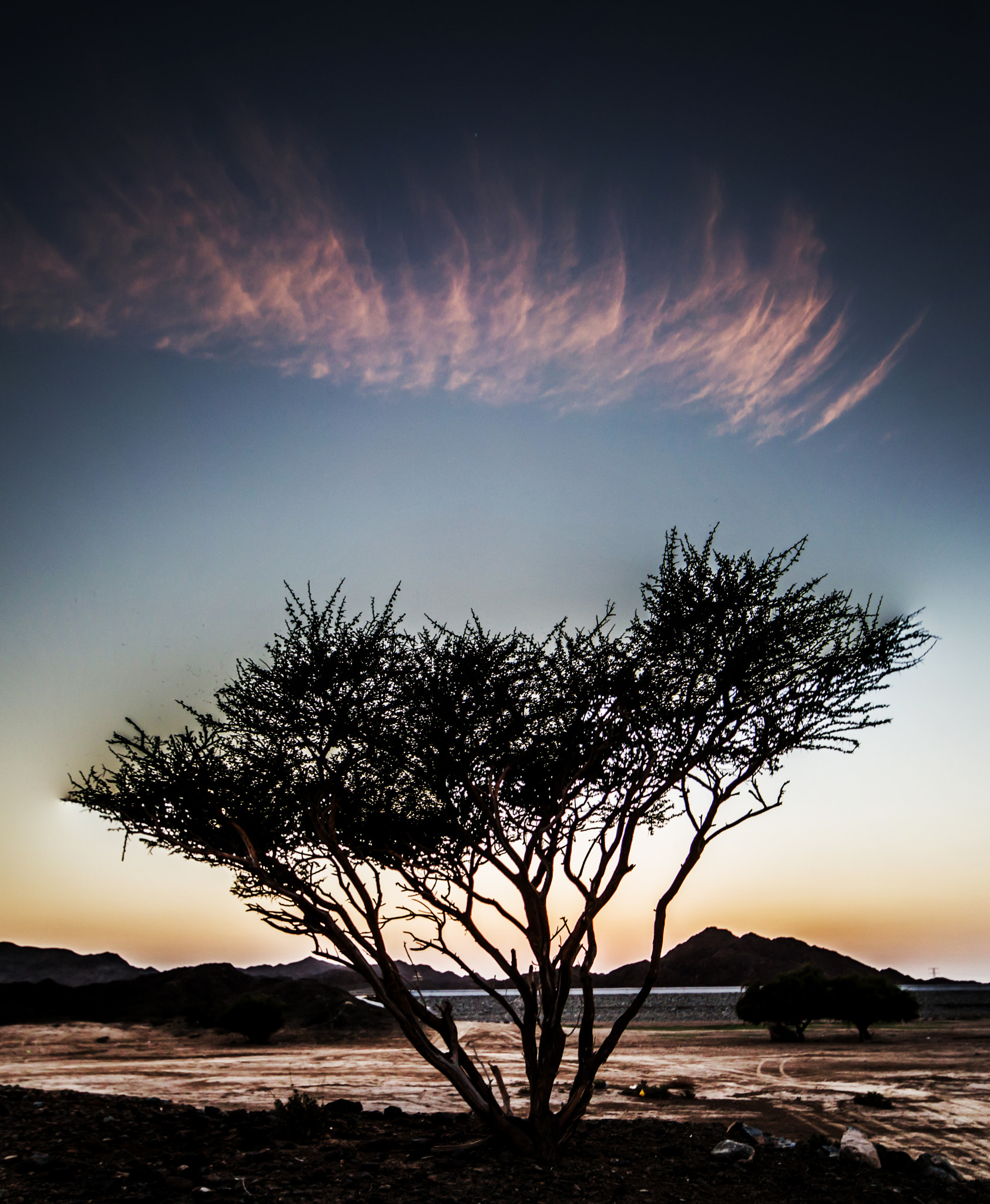 Canon EOS 100D (EOS Rebel SL1 / EOS Kiss X7) + Sigma 10-20mm F4-5.6 EX DC HSM sample photo. A lonely tree and a lonely cloud photography