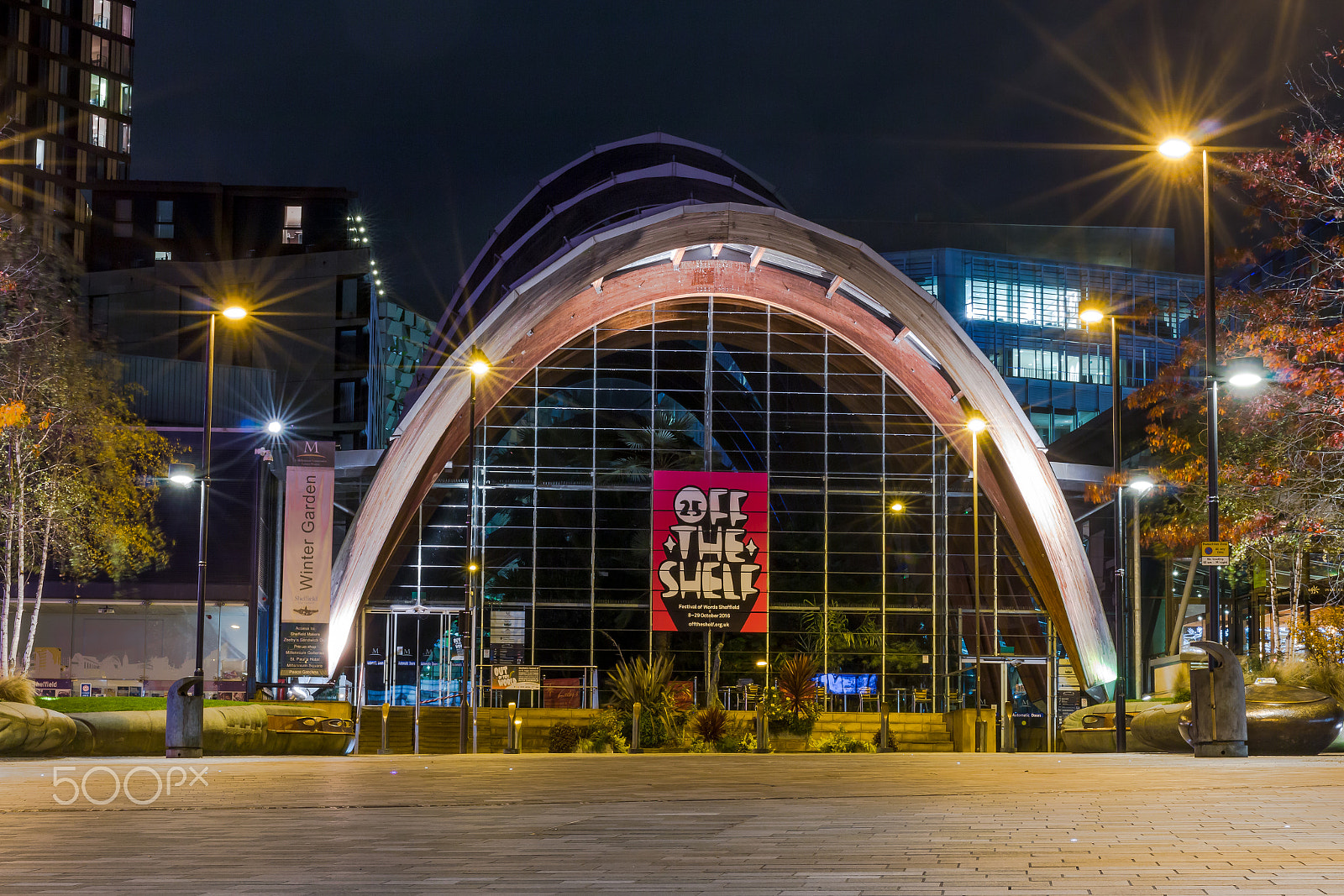 Sigma 50mm F1.4 EX DG HSM sample photo. Winter gardens - sheffield, uk photography