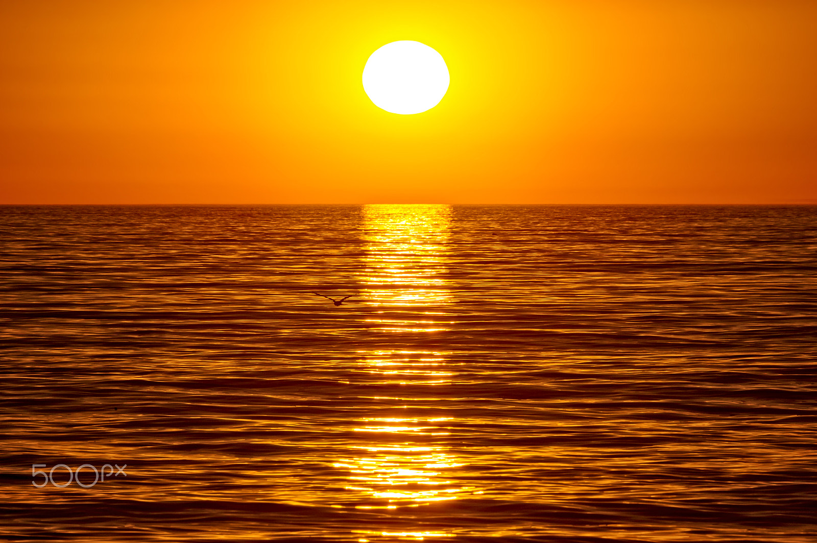 Nikon D3S sample photo. Sunset in oceanside - january 29, 2017 photography