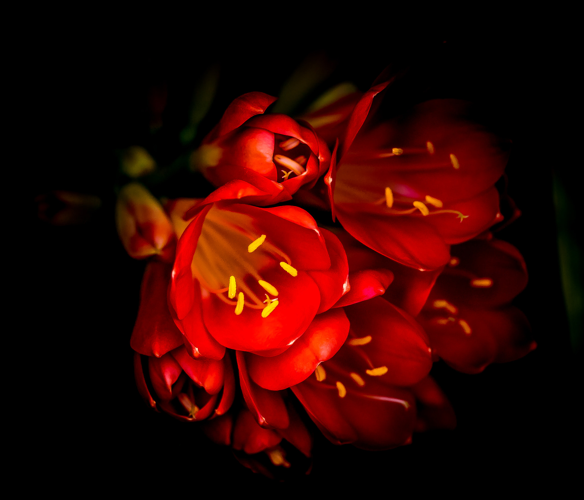 Sony a7 + Sony FE 90mm F2.8 Macro G OSS sample photo. Colours are although in winter ... photography