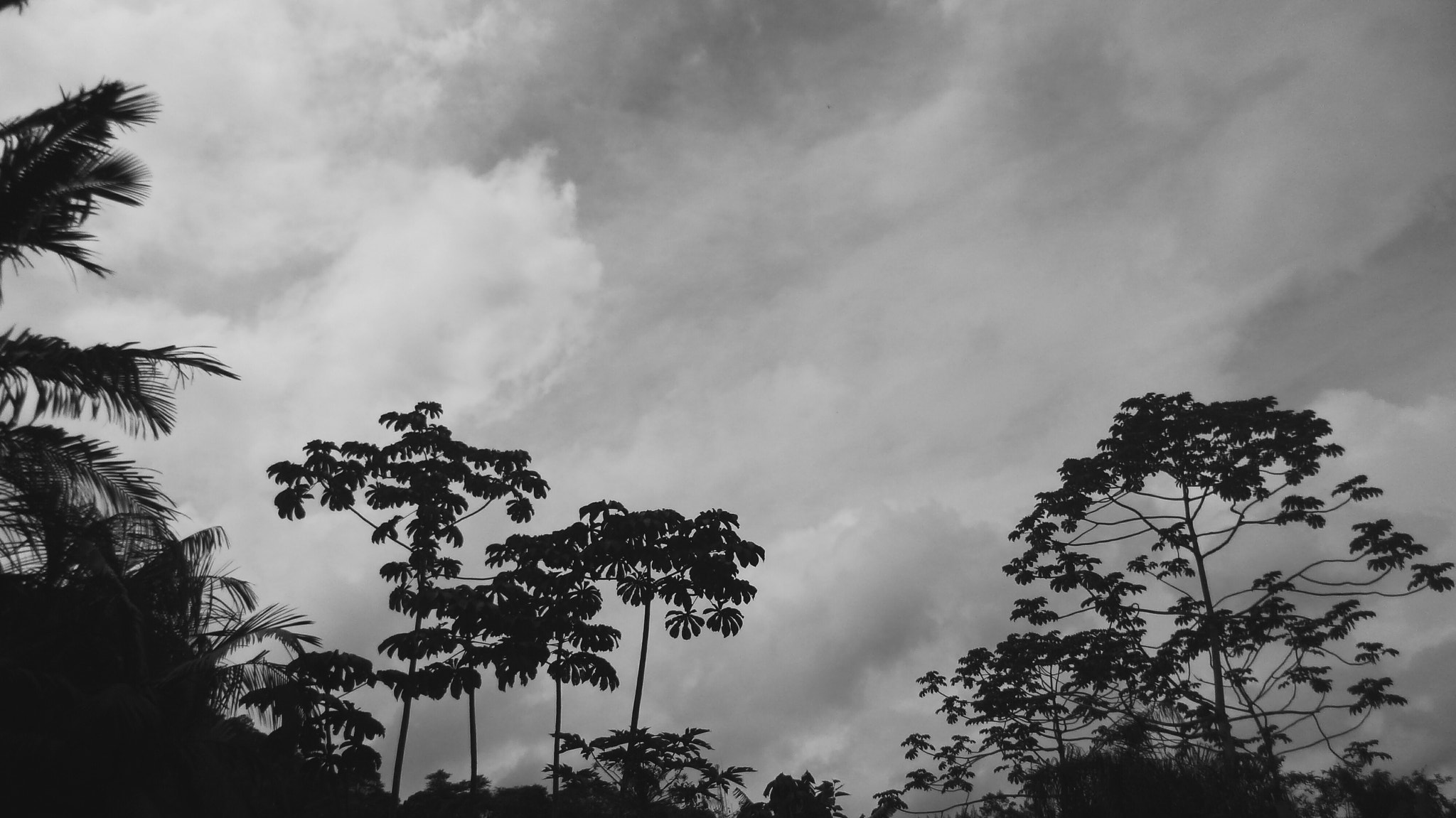 Panasonic DMC-FX80 sample photo. ⚫ clouds ⚫ photography