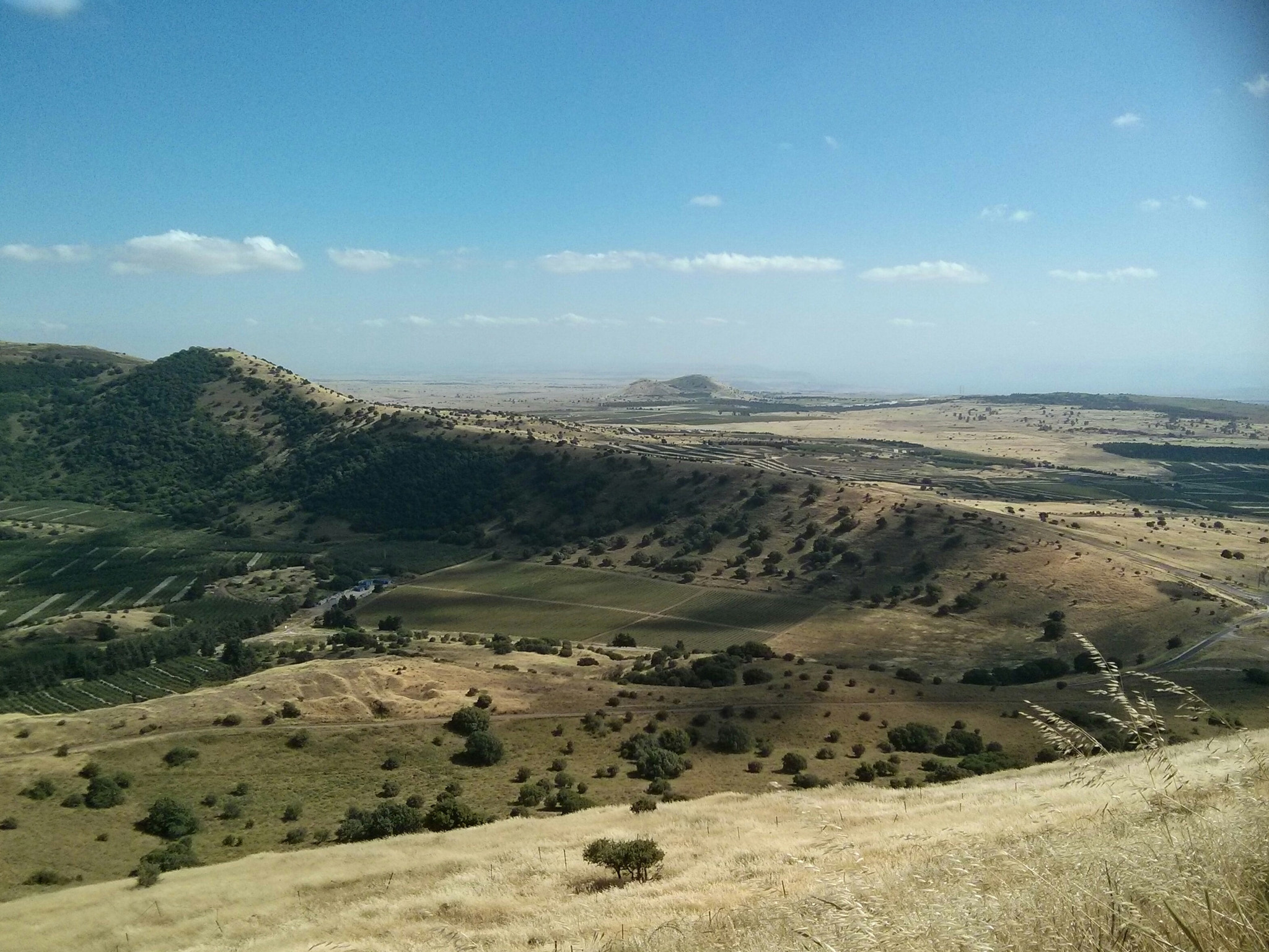 LG Nexus 4 sample photo. Golan heights photography