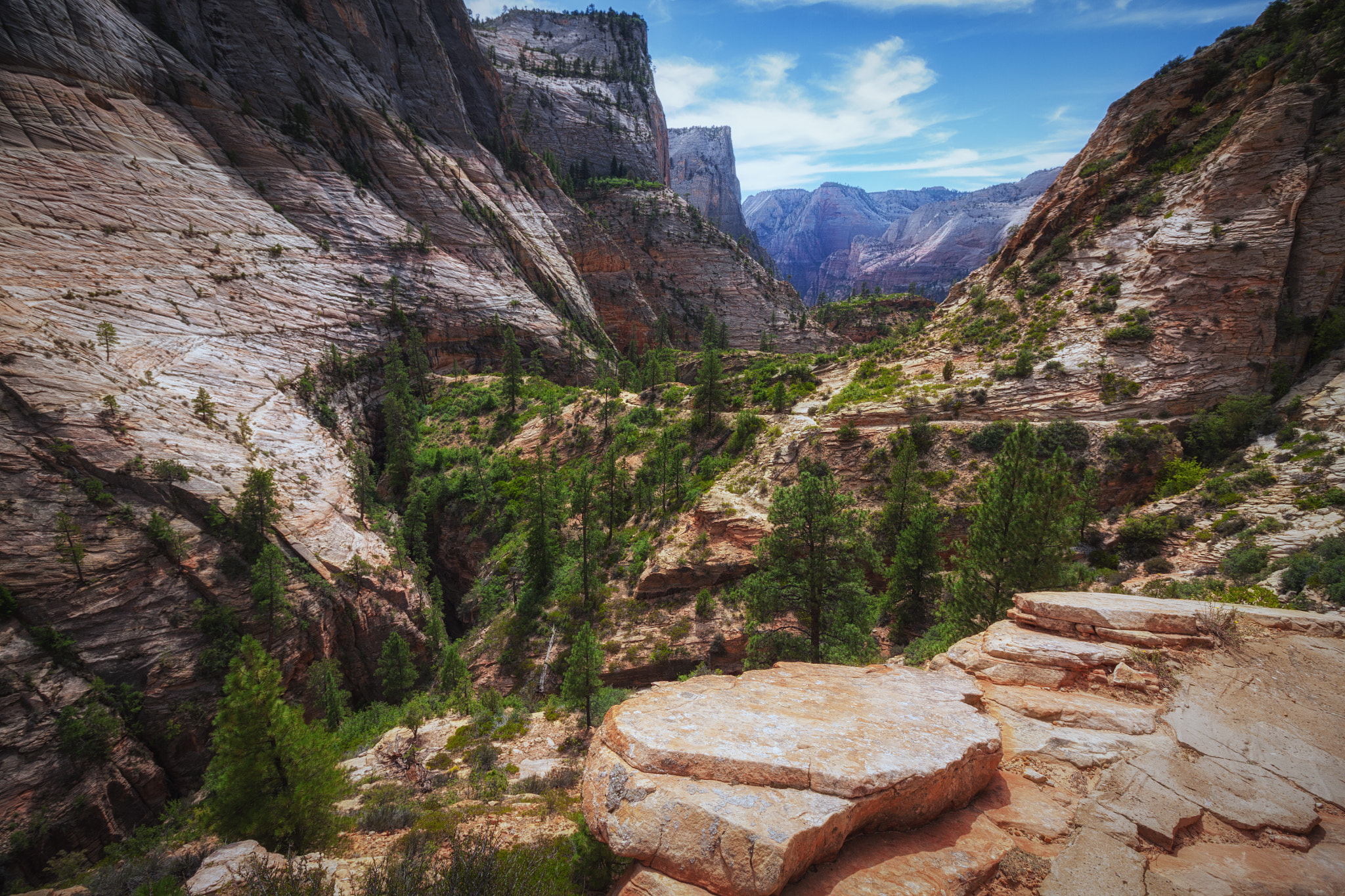 Canon EOS 50D sample photo. On the east rim trail photography
