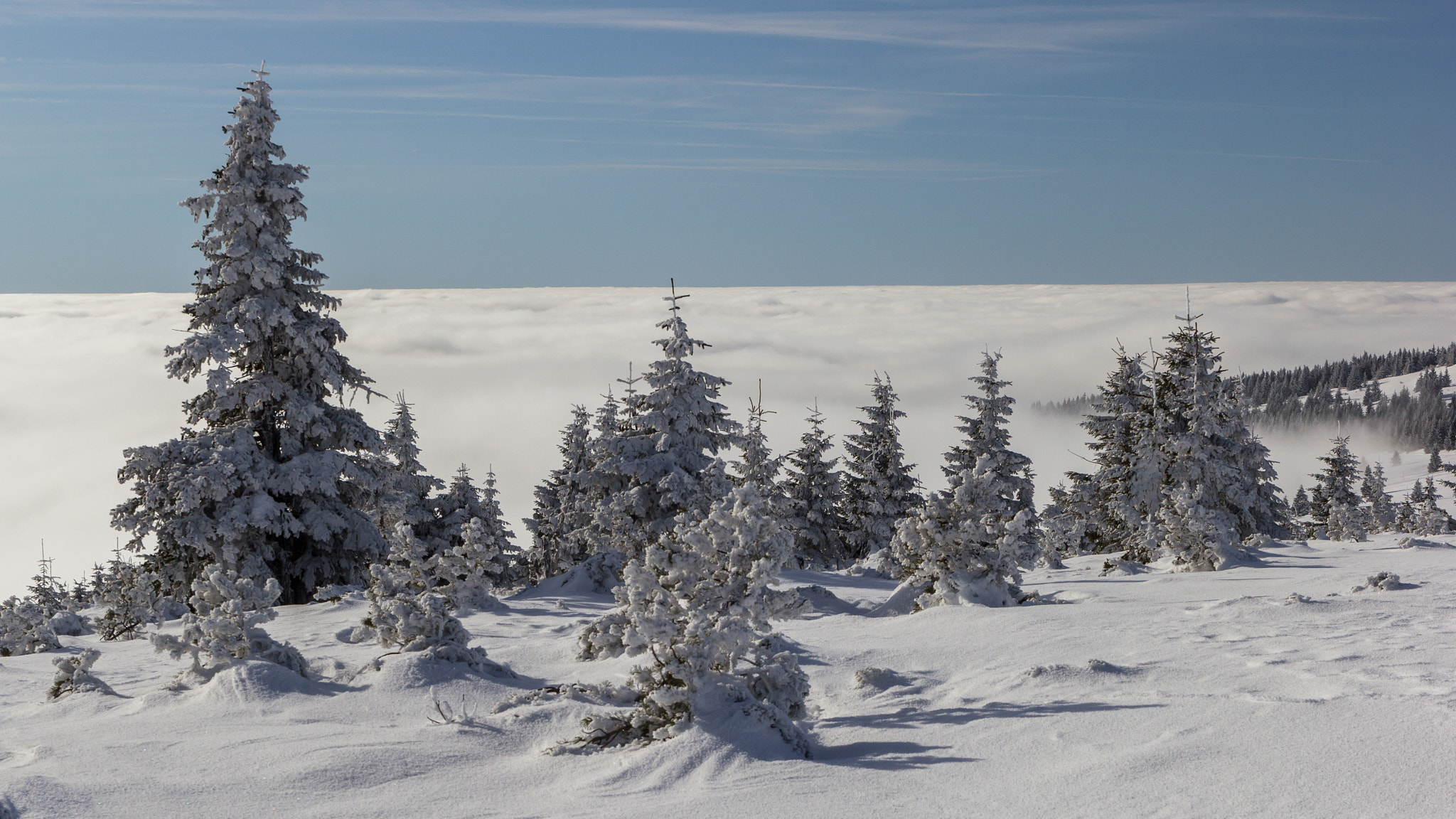 Canon EF 24-70mm F4L IS USM sample photo. "coast of the czech sea" photography