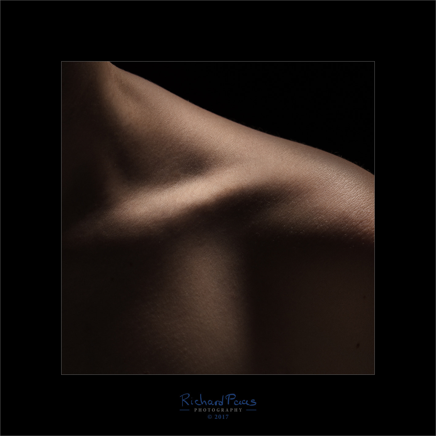 Canon EOS 5DS R + Canon EF 135mm F2L USM sample photo. Clavicle photography