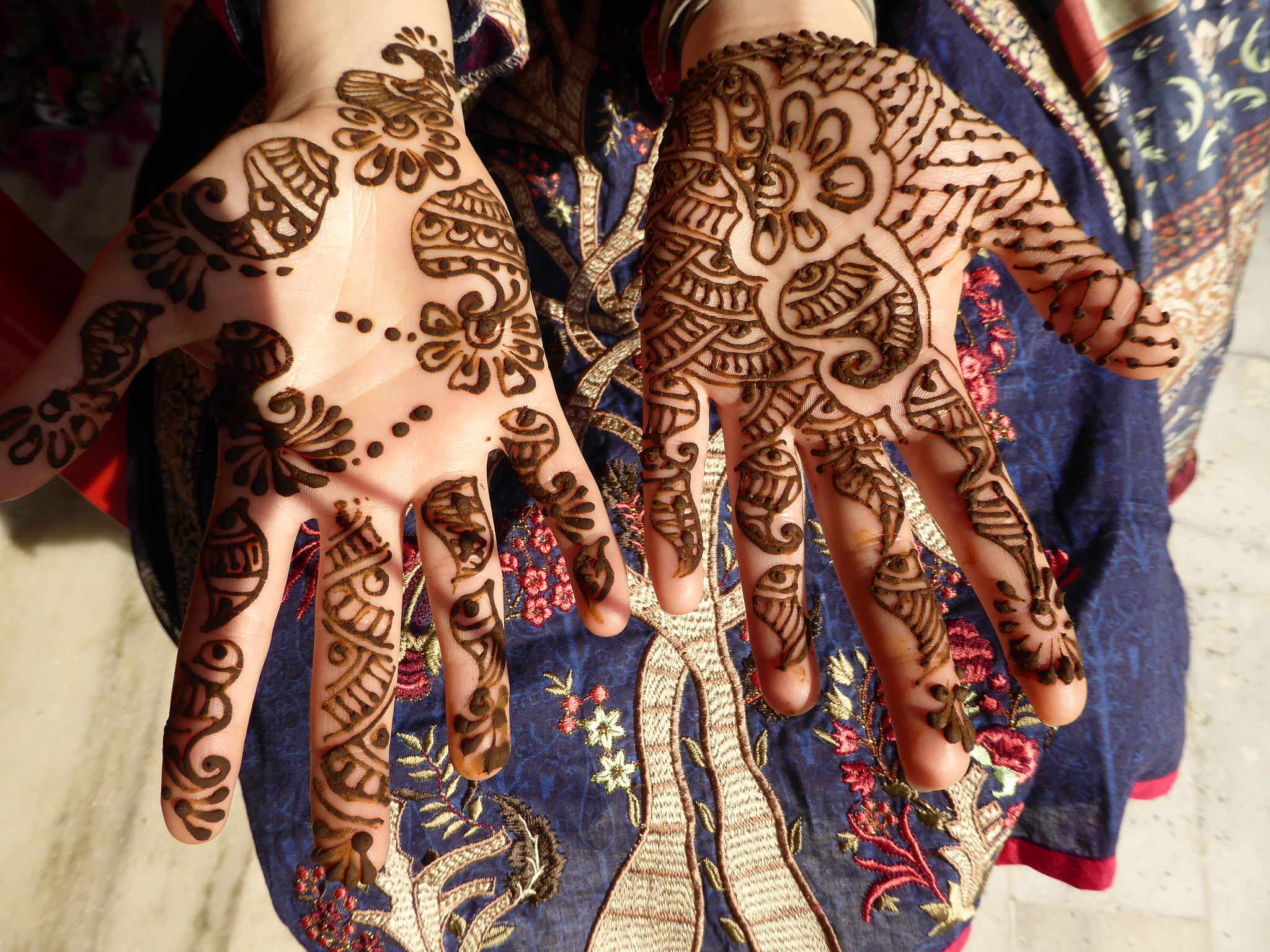 Panasonic Lumix DMC-ZS40 (Lumix DMC-TZ60) sample photo. Henna arts photography