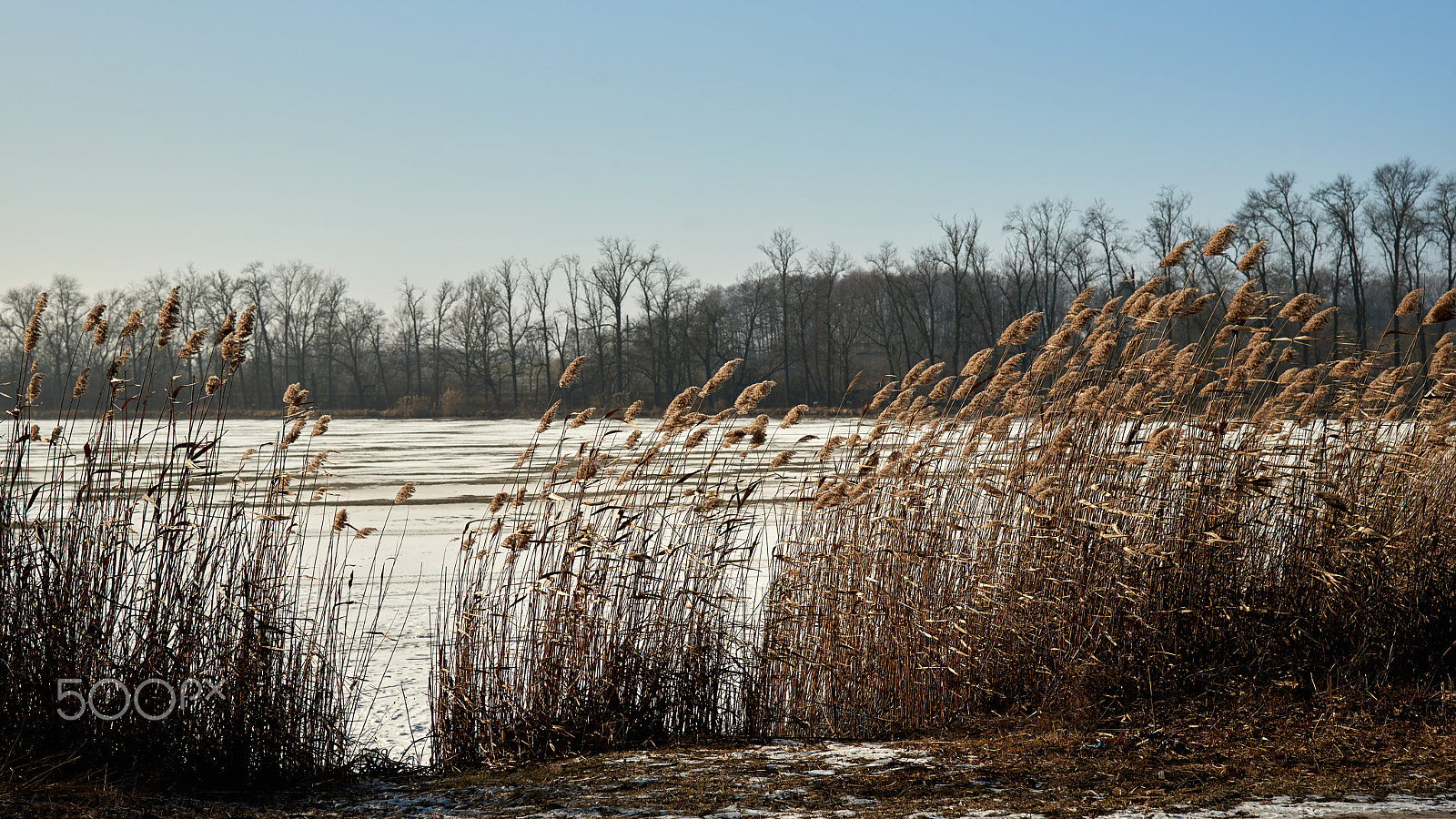 Nikon AF-S Nikkor 24-120mm F4G ED VR sample photo. Ponds at winter photography
