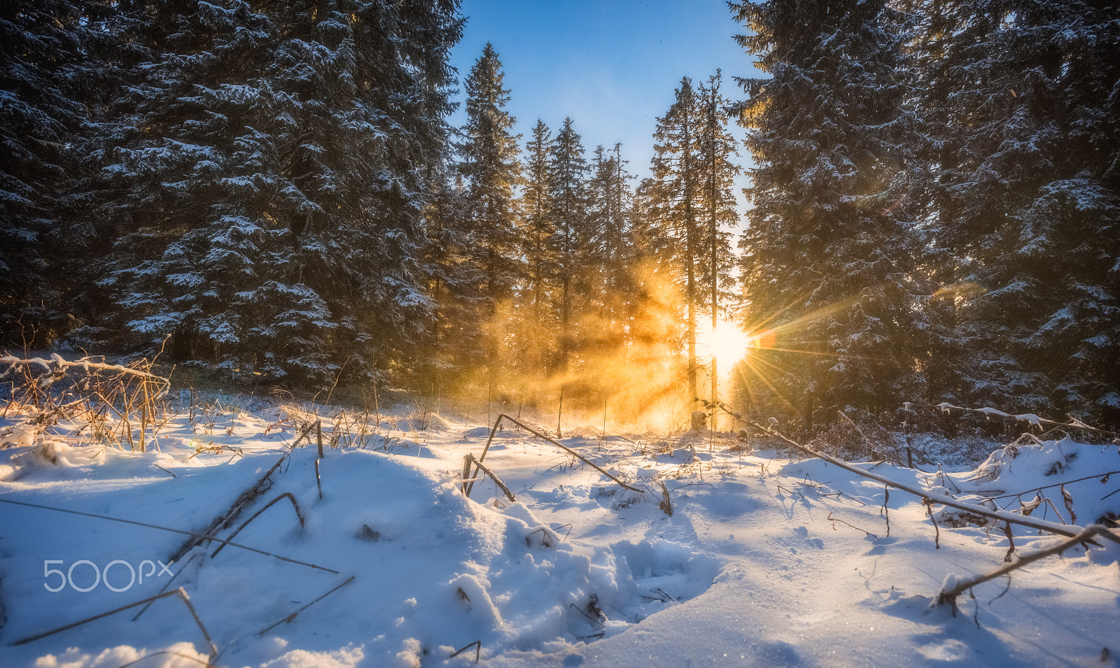 Nikon AF-S Nikkor 17-35mm F2.8D ED-IF sample photo. Winter- mountain gaberl (austria) photography