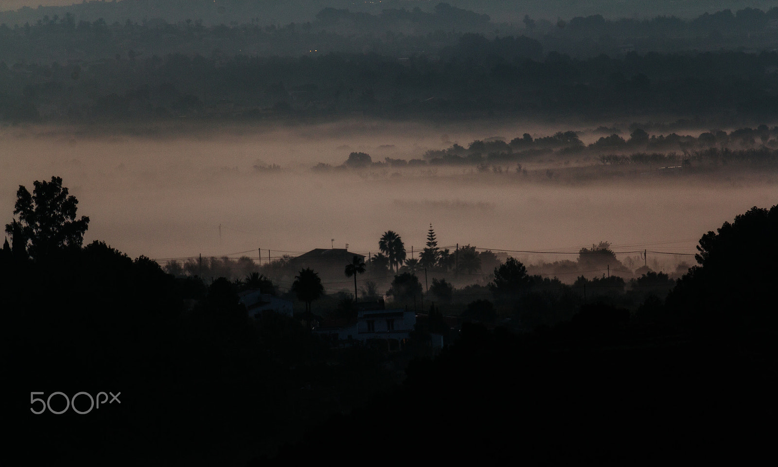 Canon EOS 60D + Tamron SP 70-300mm F4-5.6 Di VC USD sample photo. Misty morning vi photography