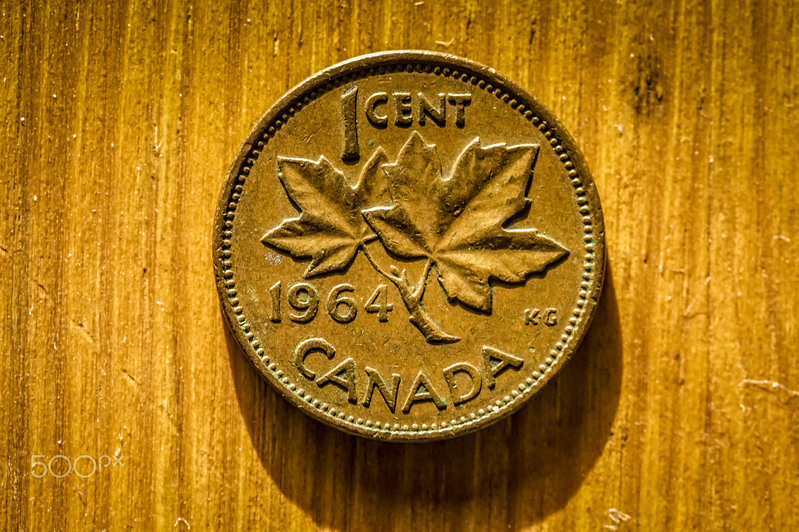 Sony a6300 + Sony DT 50mm F1.8 SAM sample photo. The extinct canadian penny photography