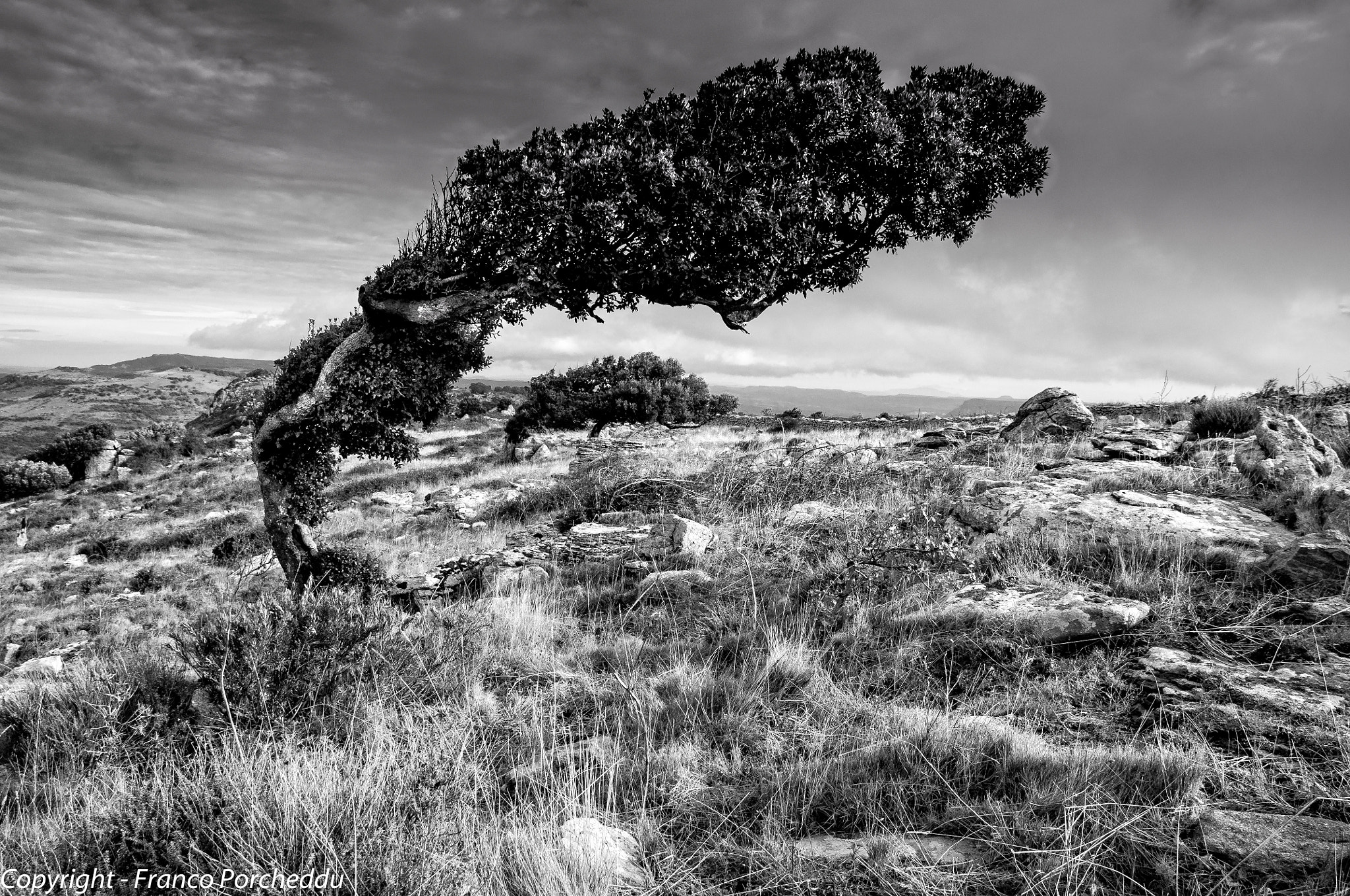 Sigma 17-70mm F2.8-4 DC Macro OS HSM sample photo. Sardinia landescapes photography