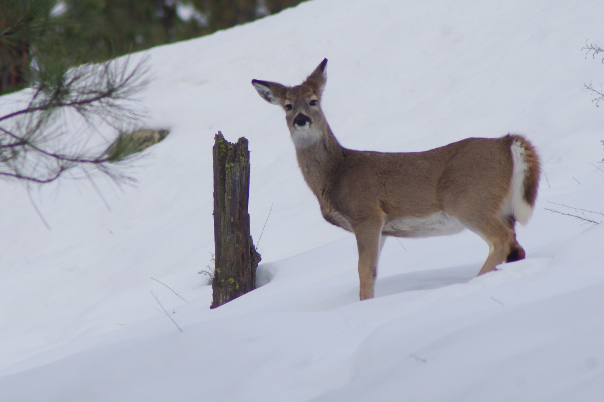 Pentax K-r sample photo. 028.jpg photography