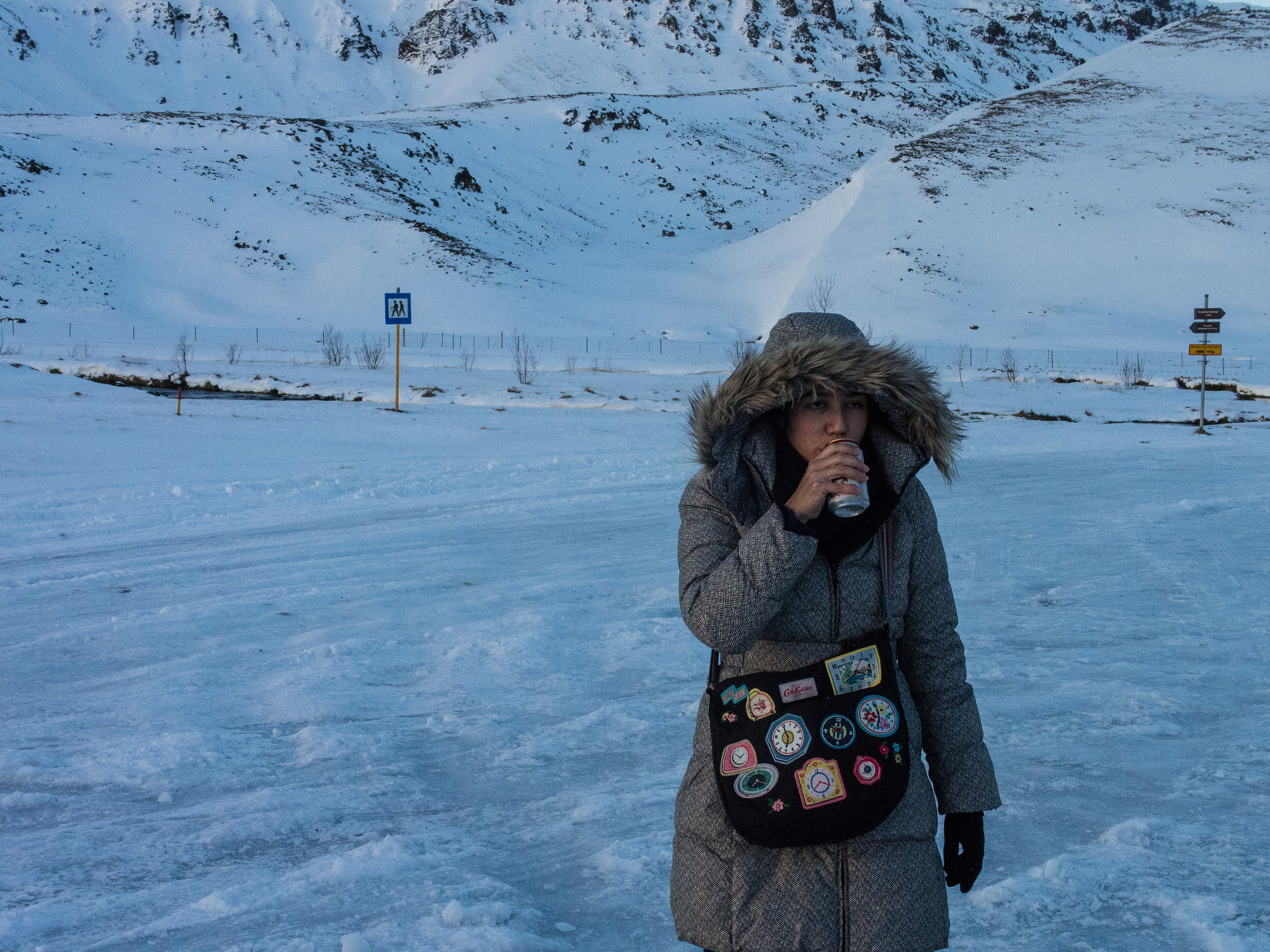 Panasonic Leica DG Summilux 25mm F1.4 II ASPH sample photo. Iceland, 2014 photography