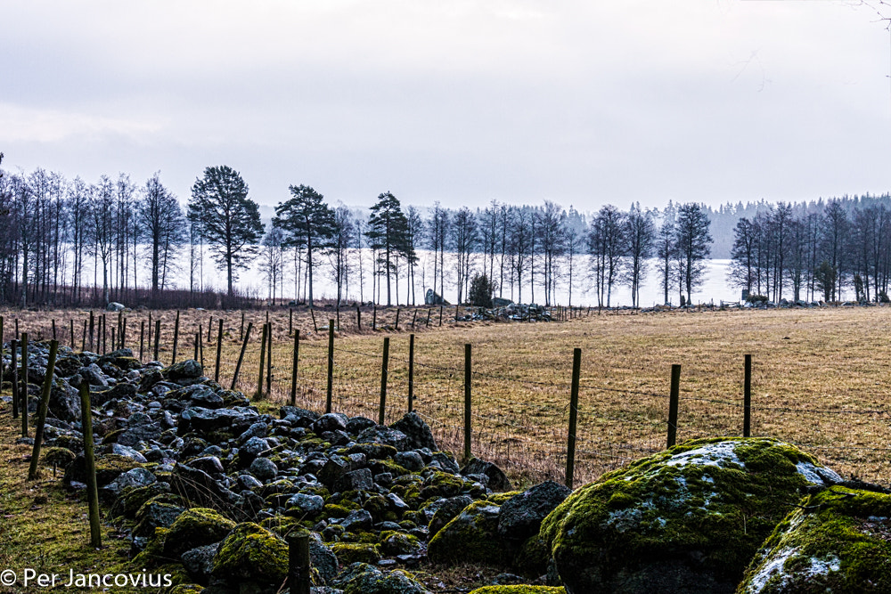 Canon EOS 40D sample photo. Boring weather 2 photography
