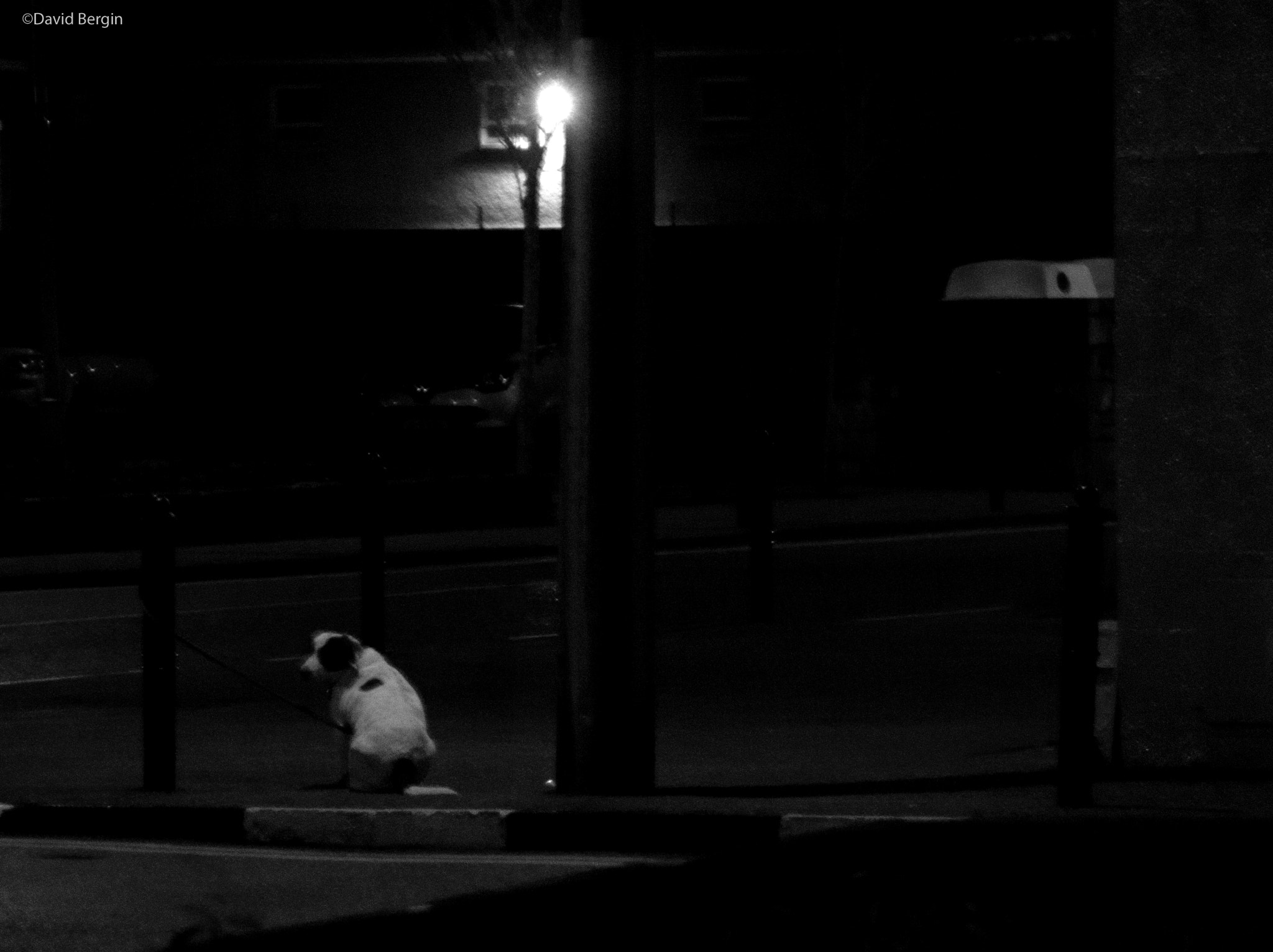 Nikon D3000 sample photo. The wait photography