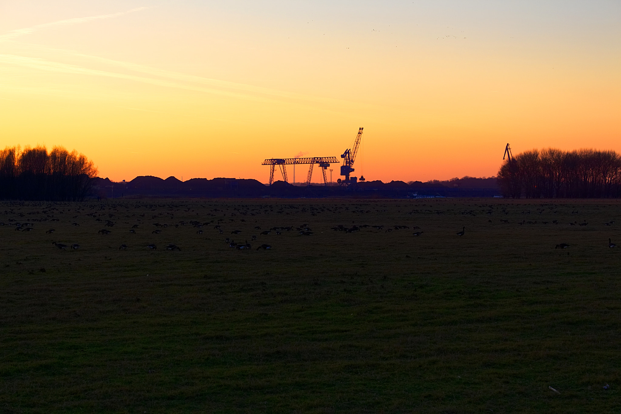 18.0 - 55.0 mm sample photo. Industrial horizont photography