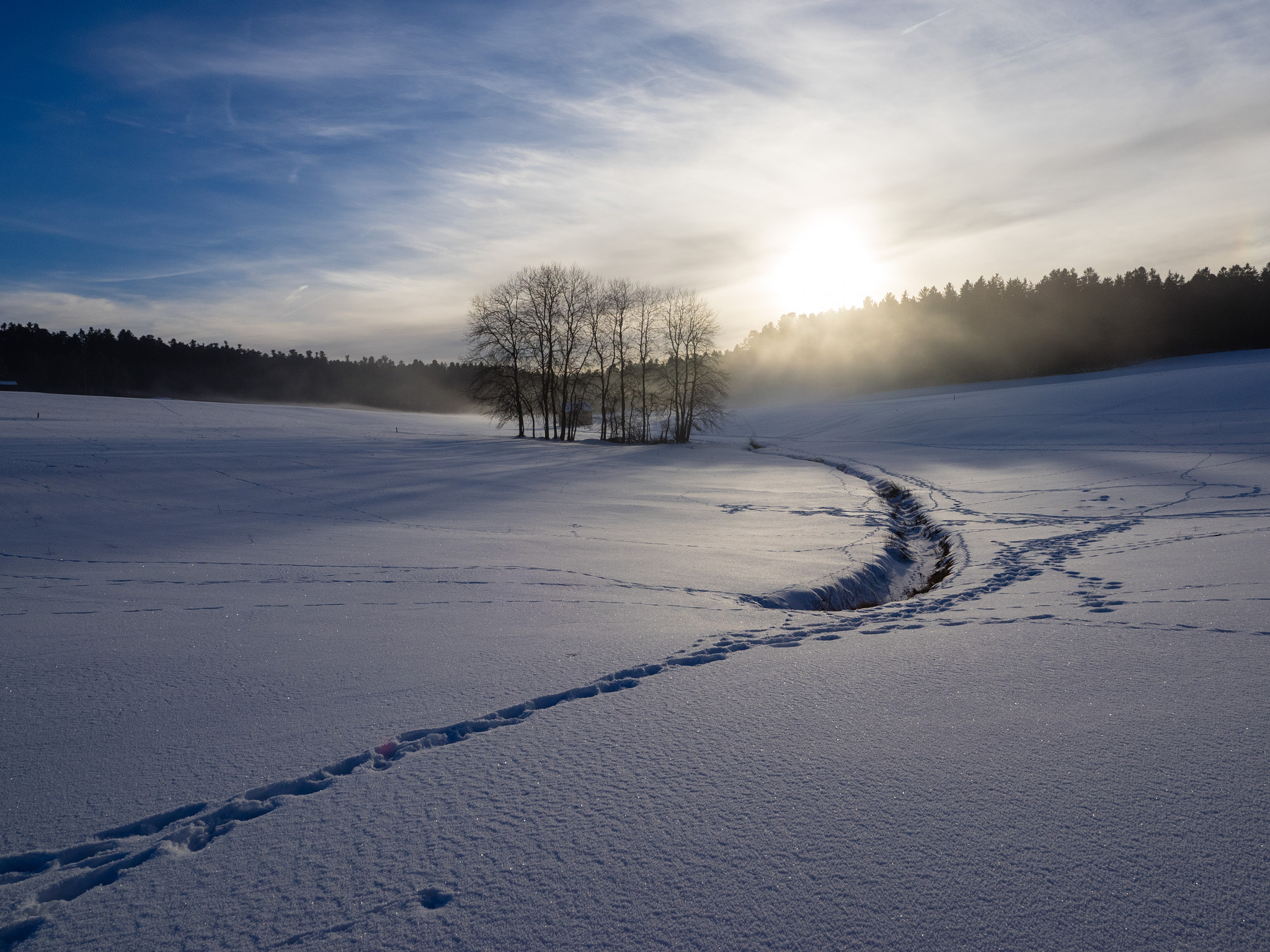 Olympus OM-D E-M1 sample photo. Seltenbach 2 photography