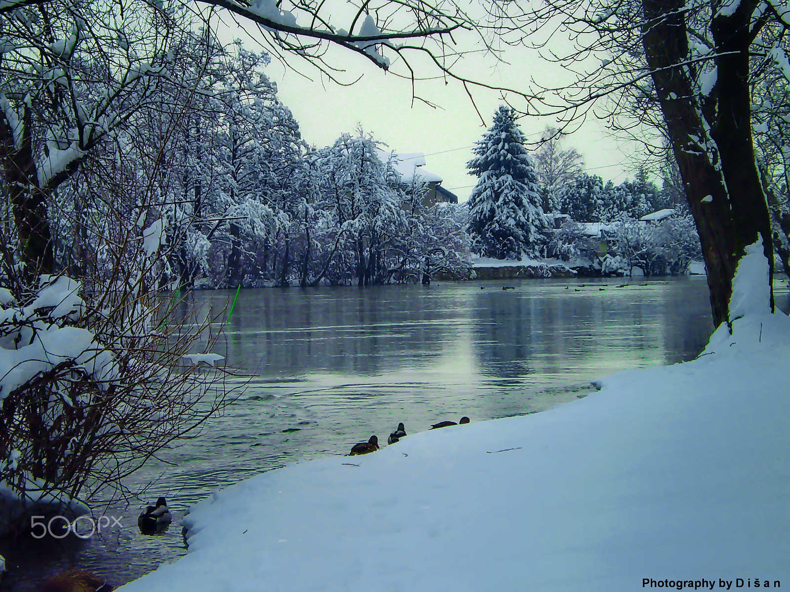 Olympus FE210,X775 sample photo. River una -winter photography
