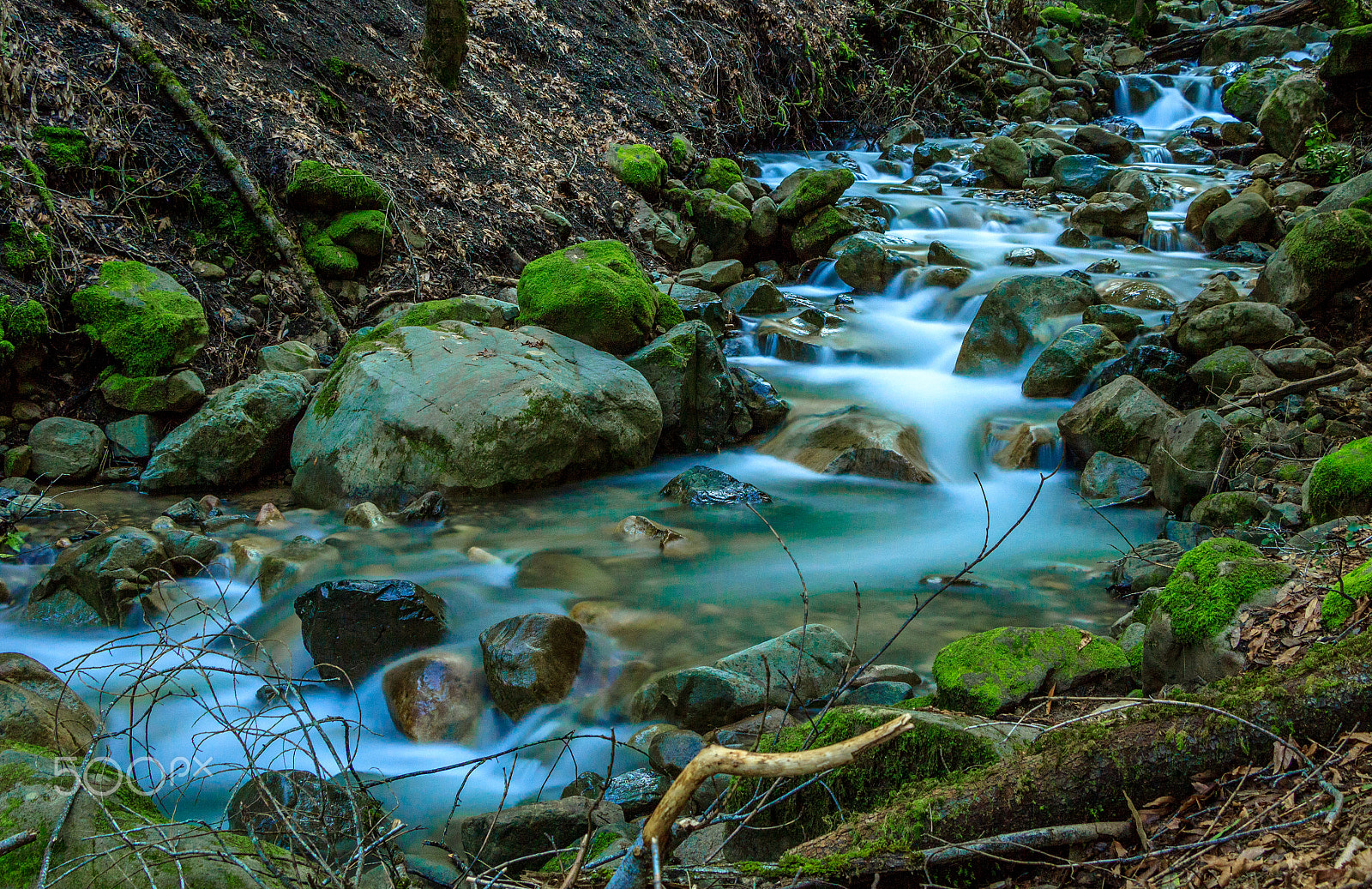 Canon EOS 600D (Rebel EOS T3i / EOS Kiss X5) sample photo. Uvas canyon photography